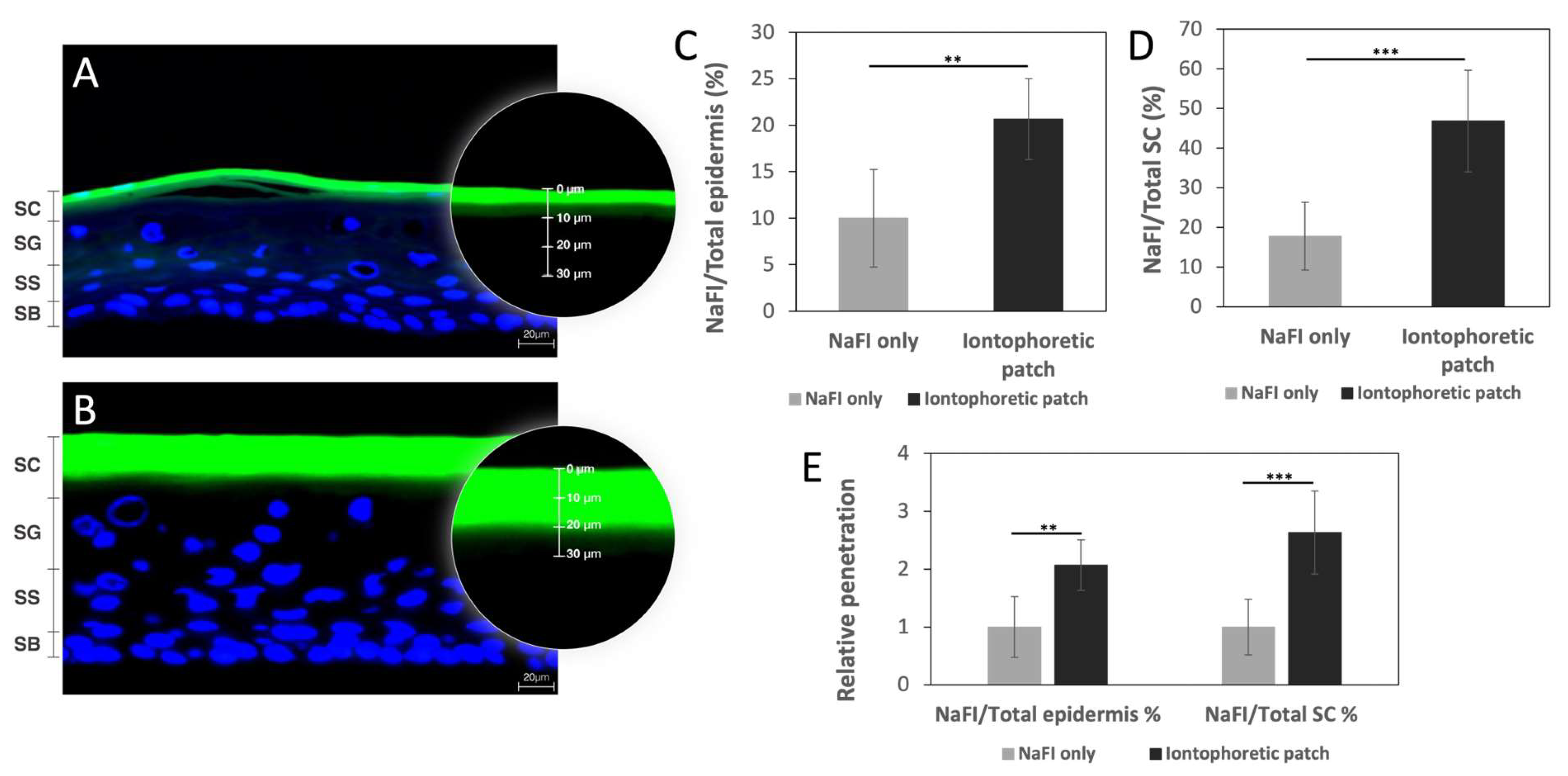 Scipharm 92 00026 g005