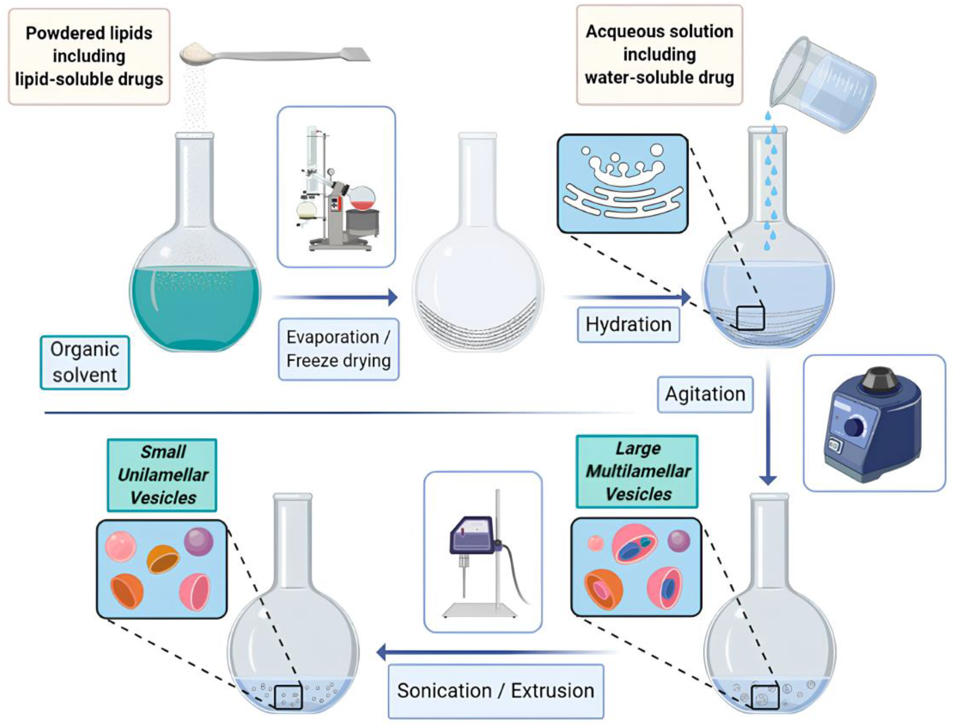 Scipharm 92 00028 g010