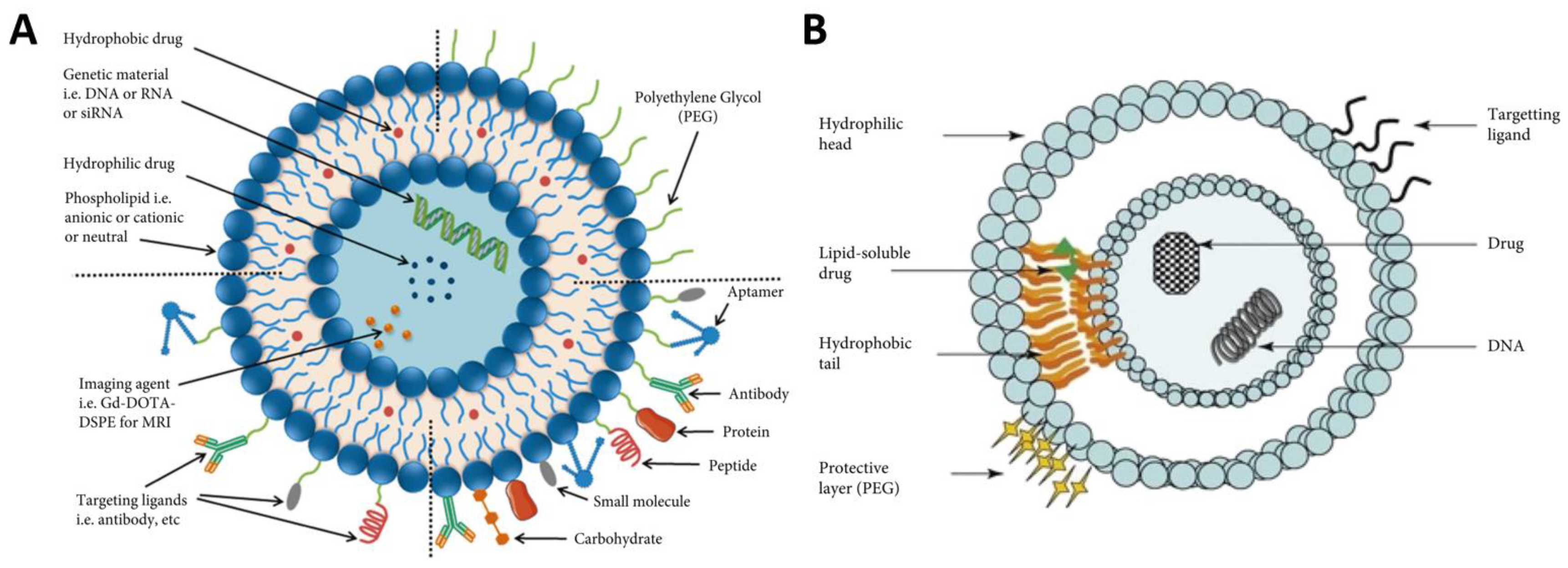 Scipharm 92 00028 g013