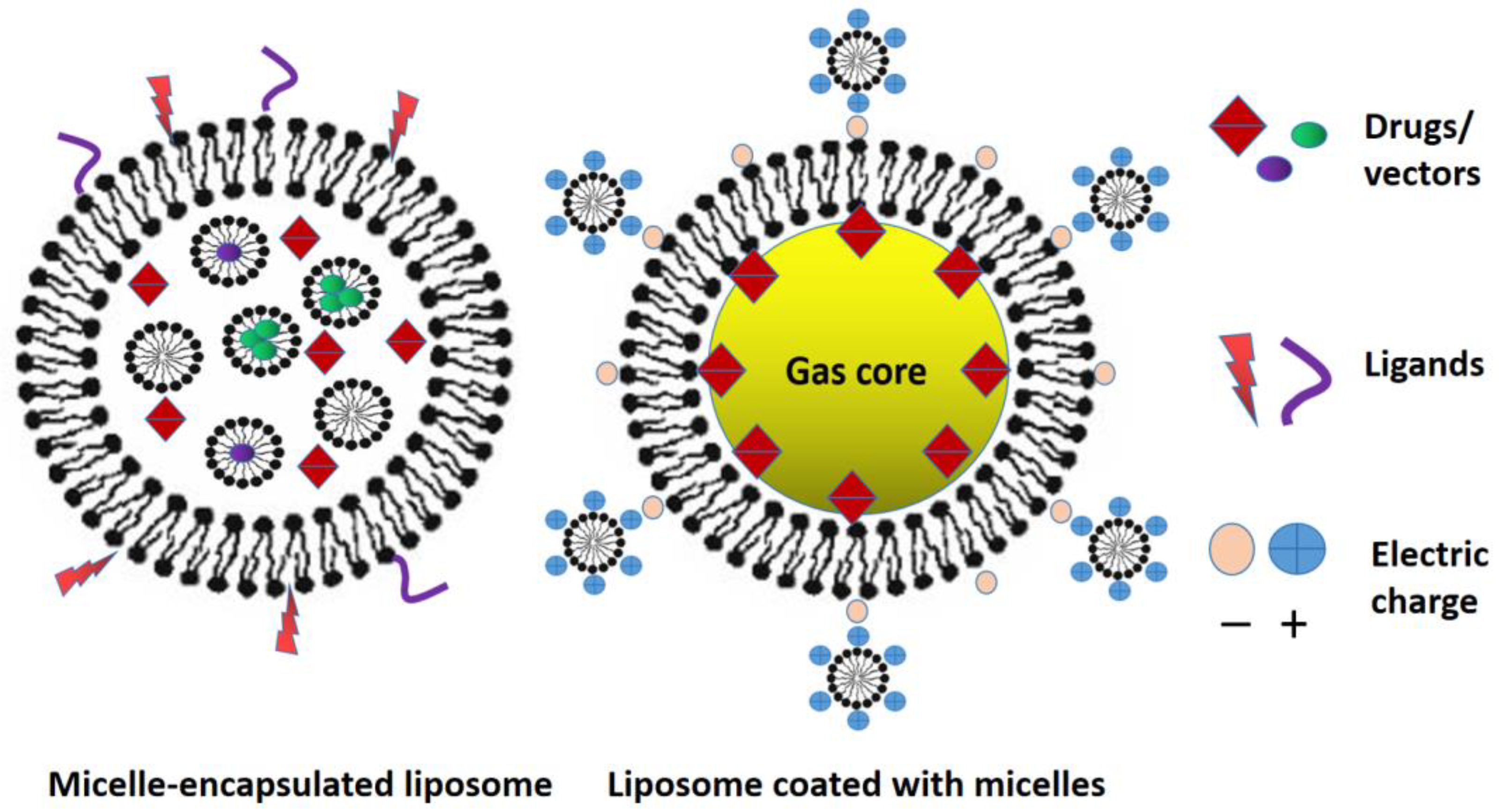 Scipharm 92 00028 g016