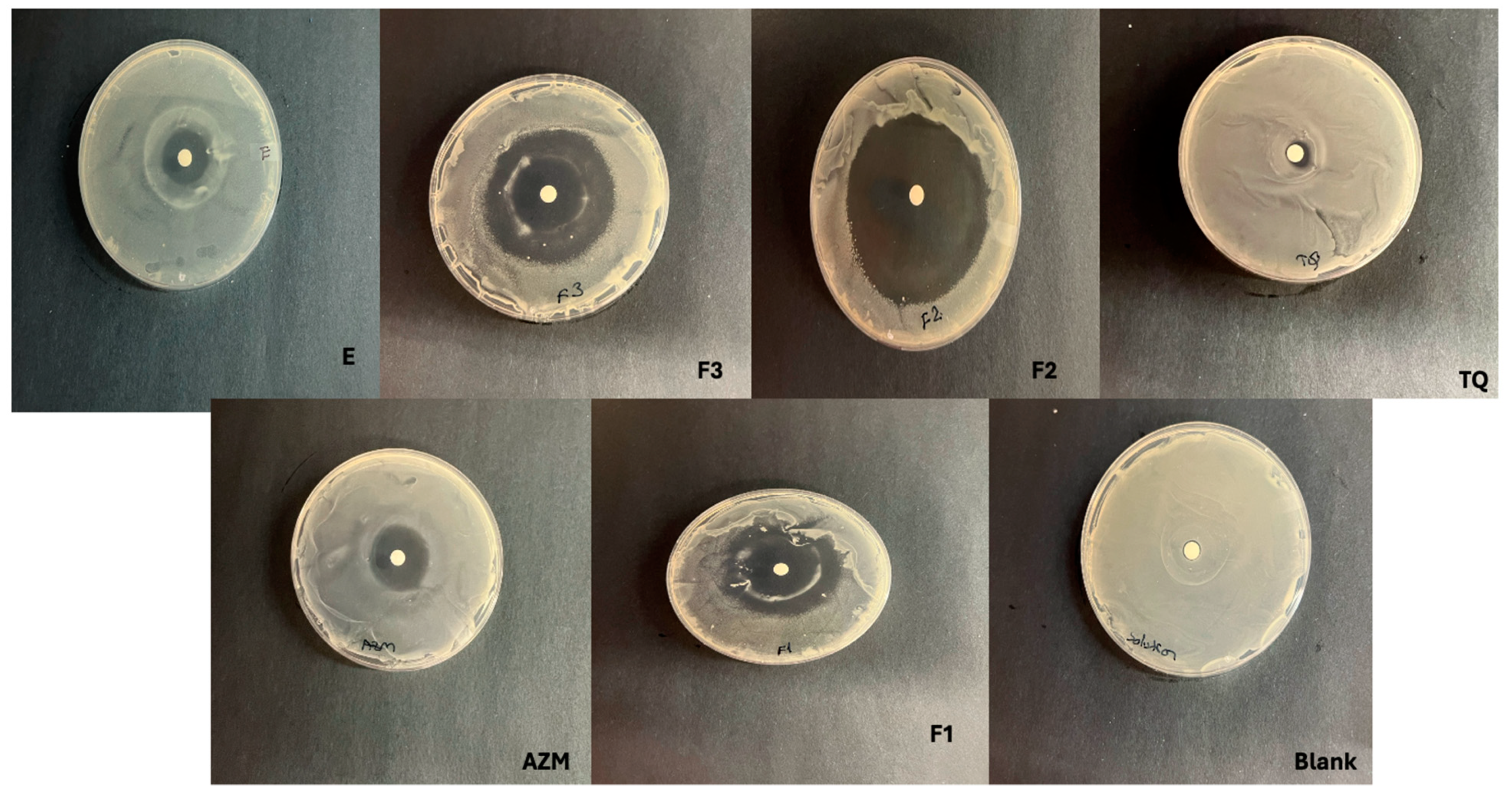 Scipharm 92 00029 g004