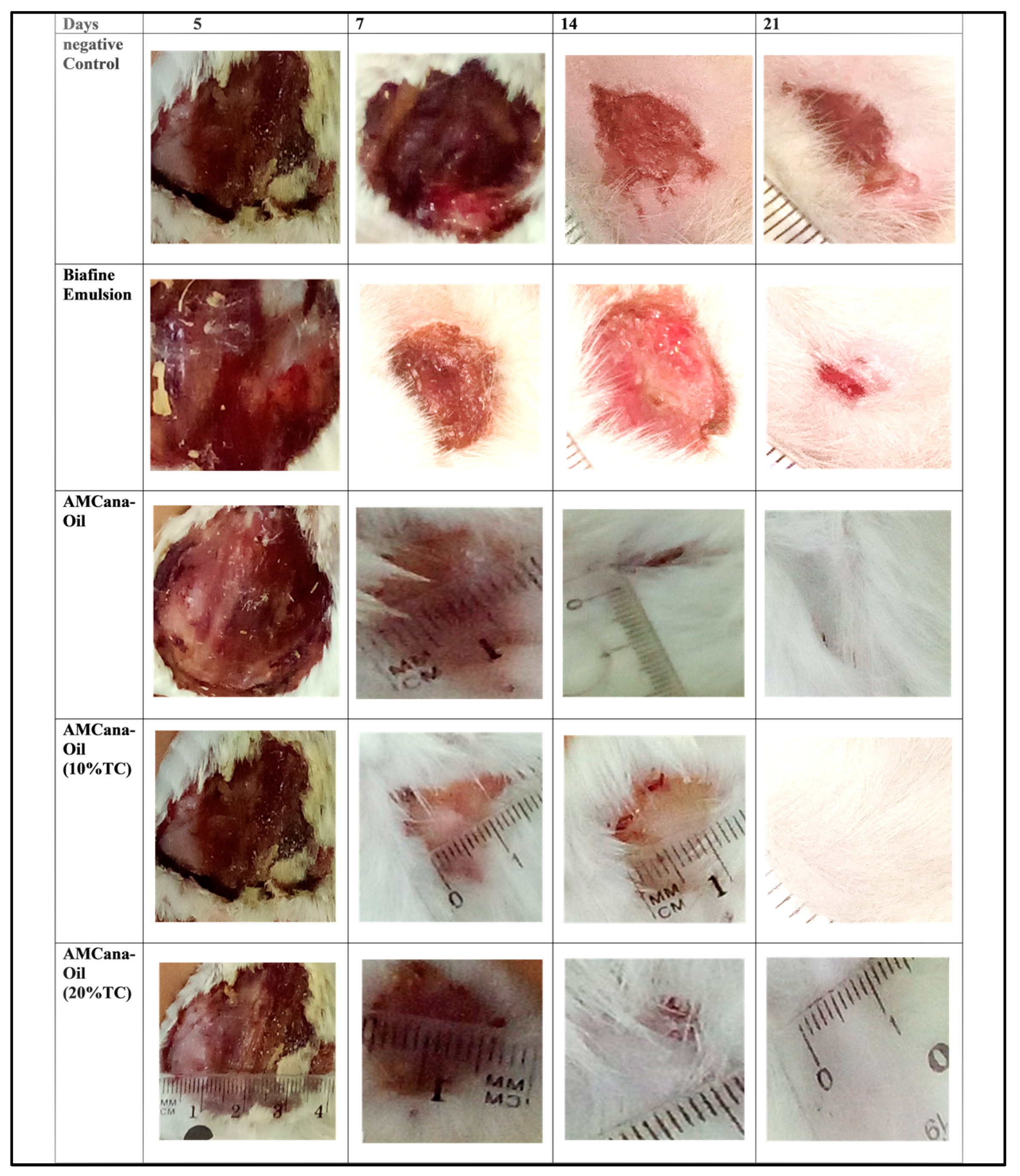 Scipharm 92 00036 g001