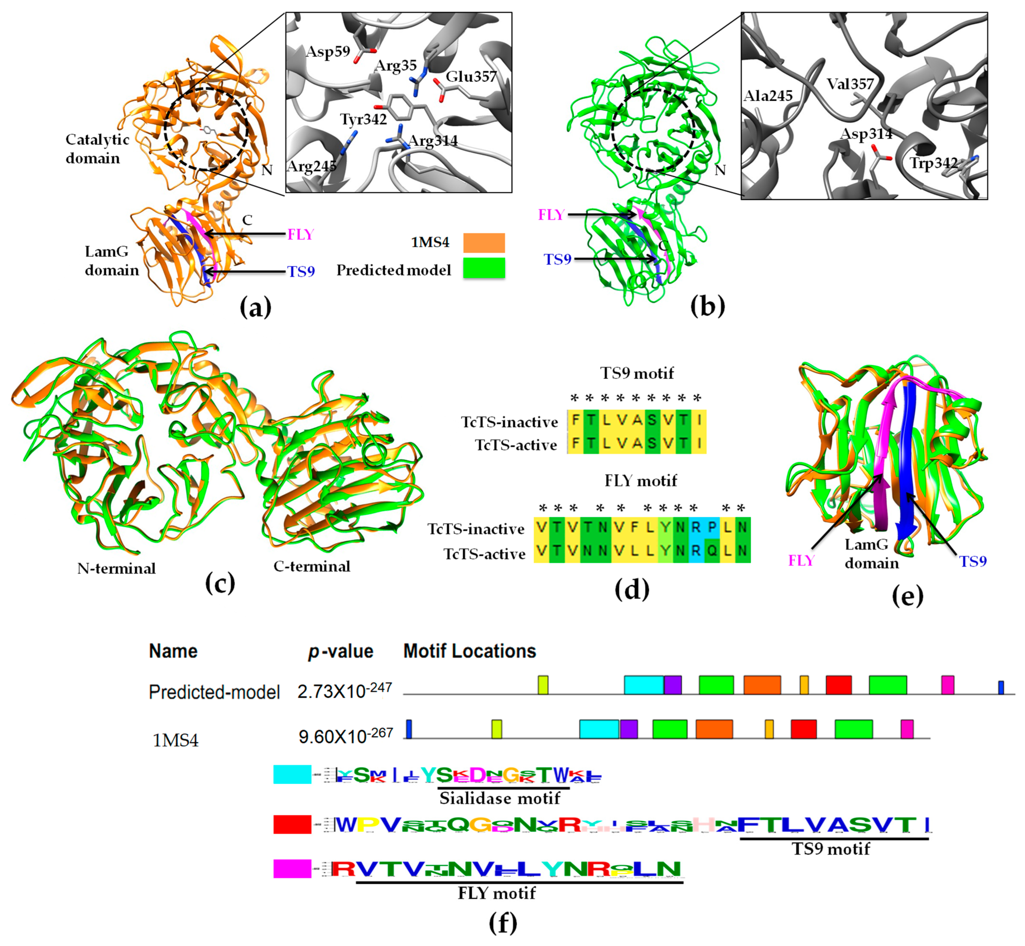 Scipharm 92 00040 g001