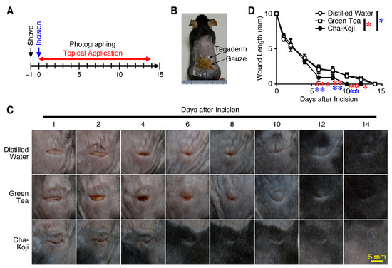 Scipharm 92 00044 g001