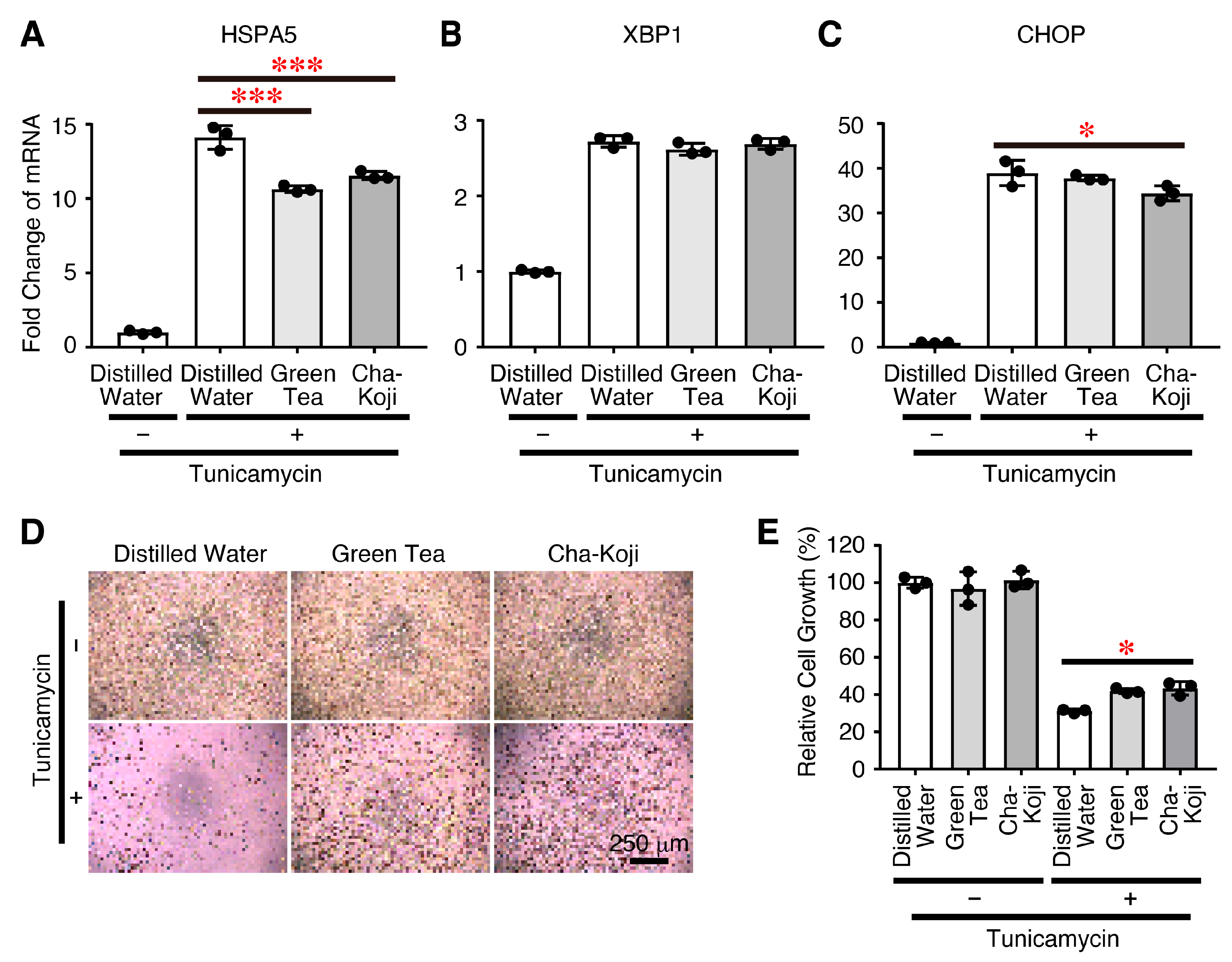 Scipharm 92 00044 g005