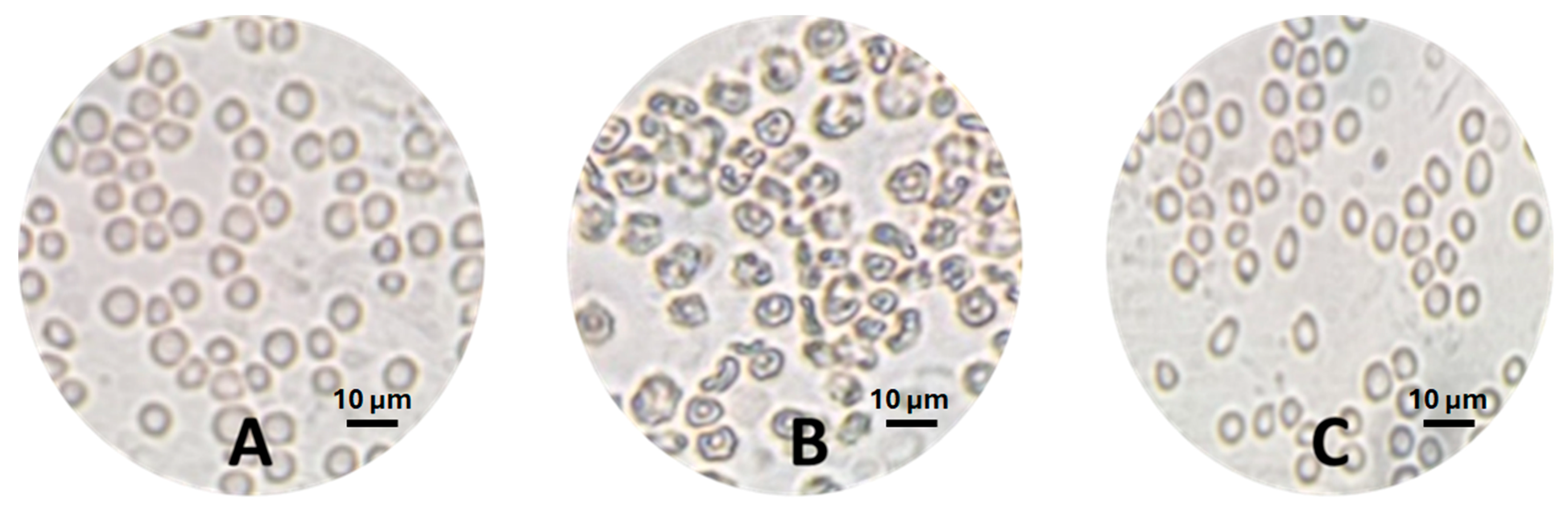 Scipharm 92 00045 g005