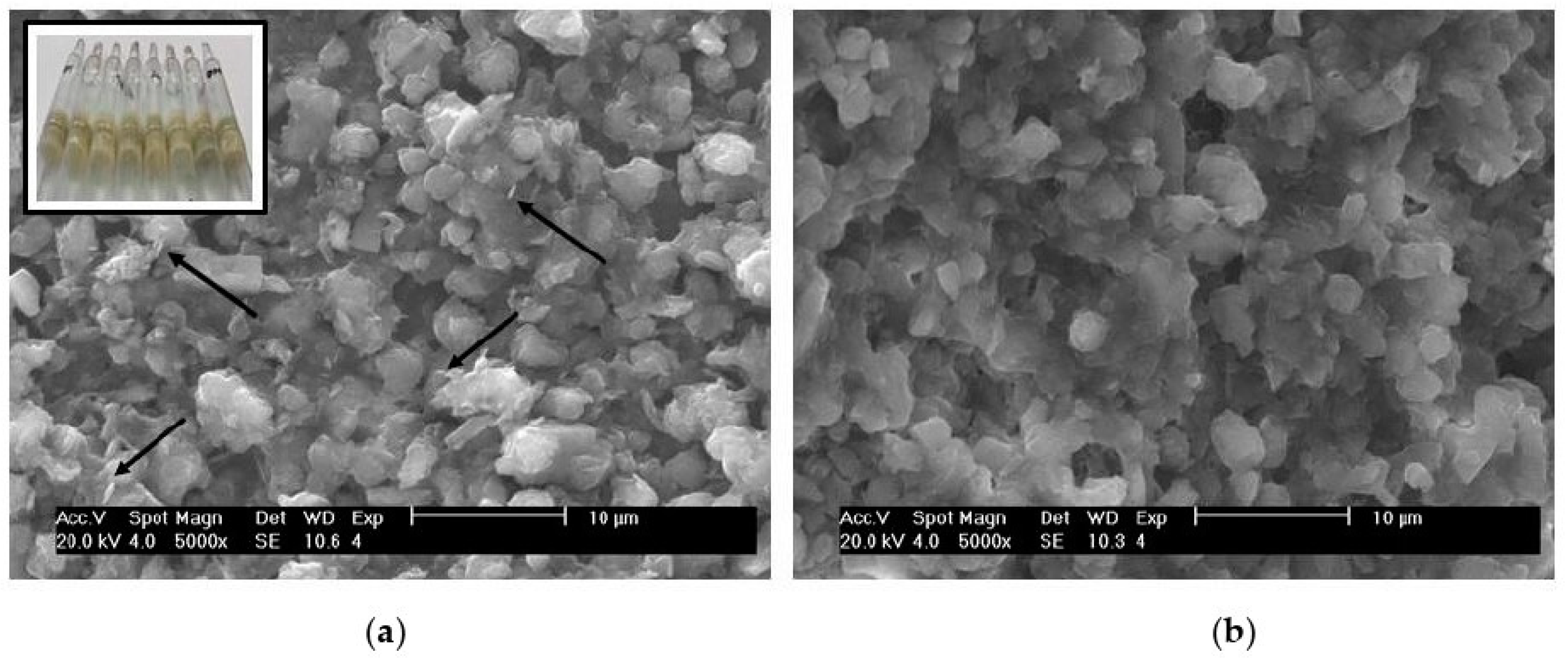 Scipharm 92 00046 g001
