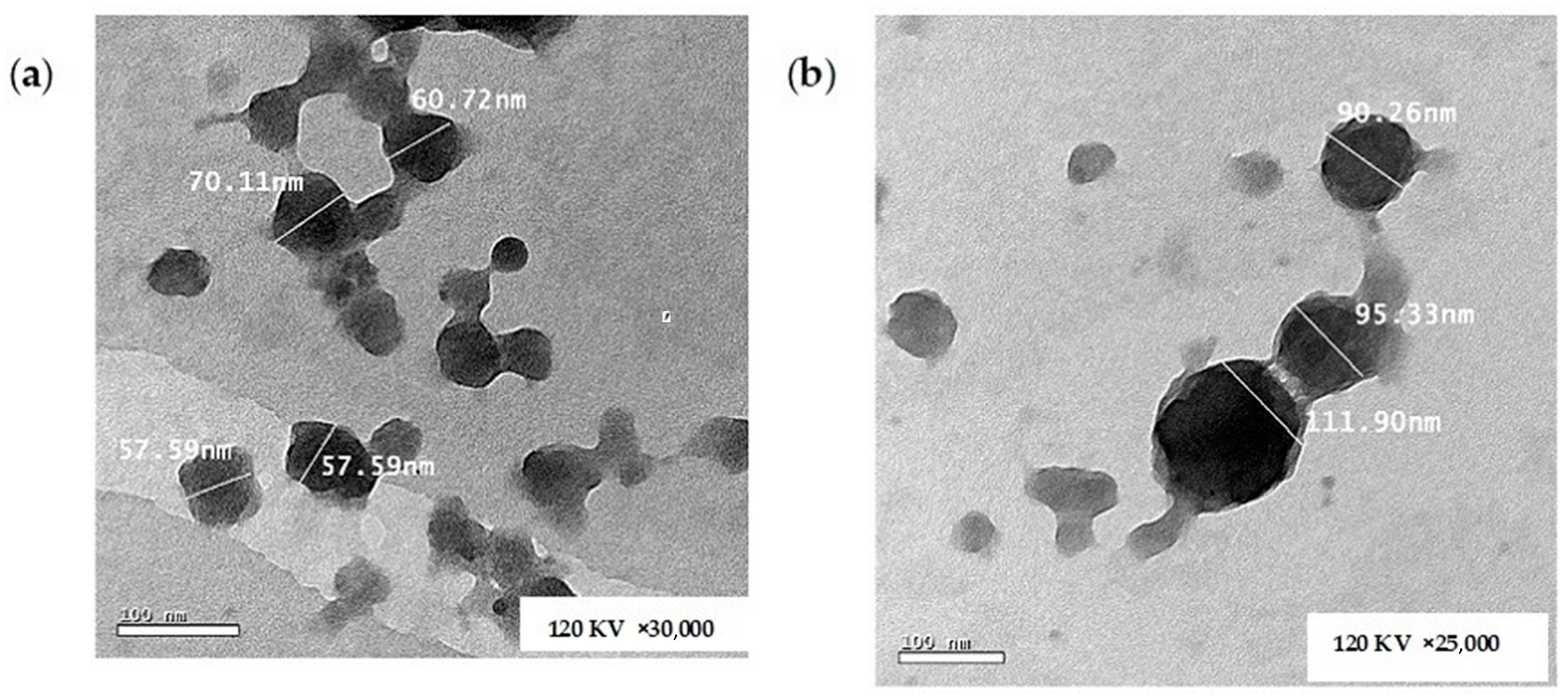 Scipharm 92 00050 g008