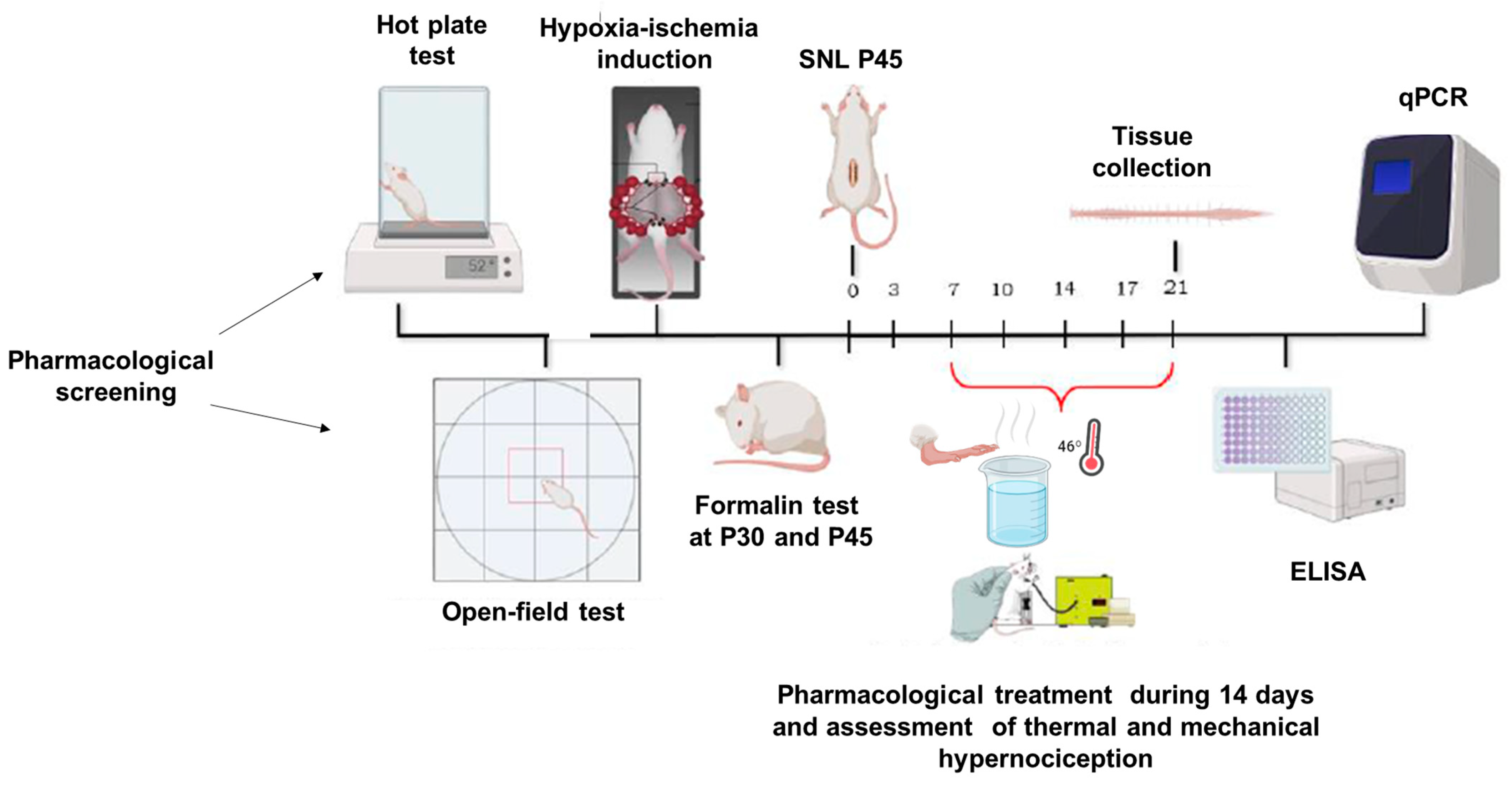 Scipharm 92 00053 g001