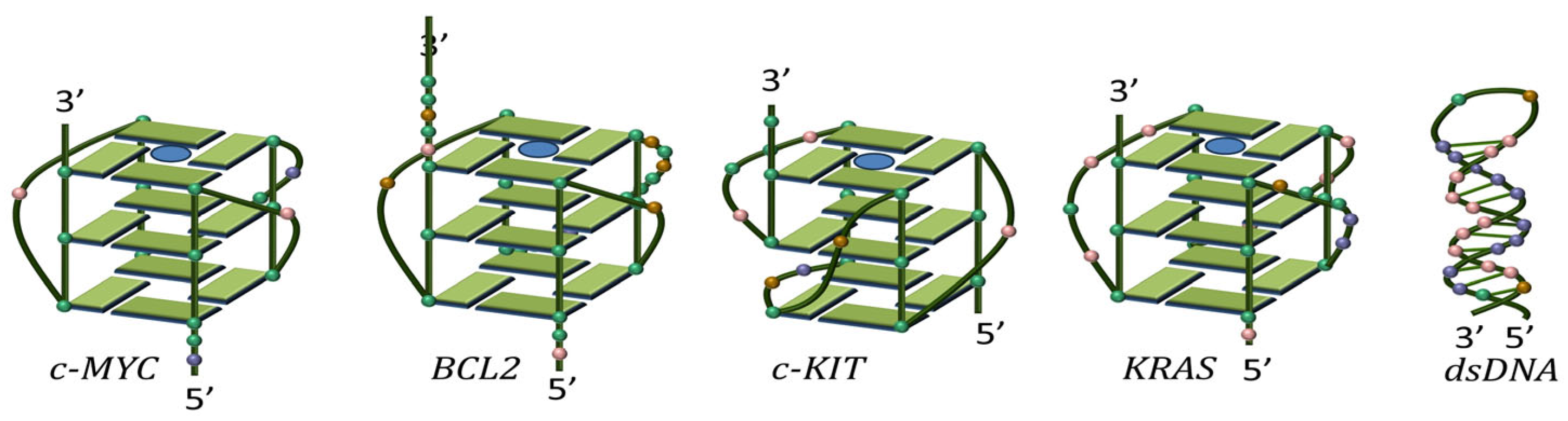 Scipharm 93 00006 g002
