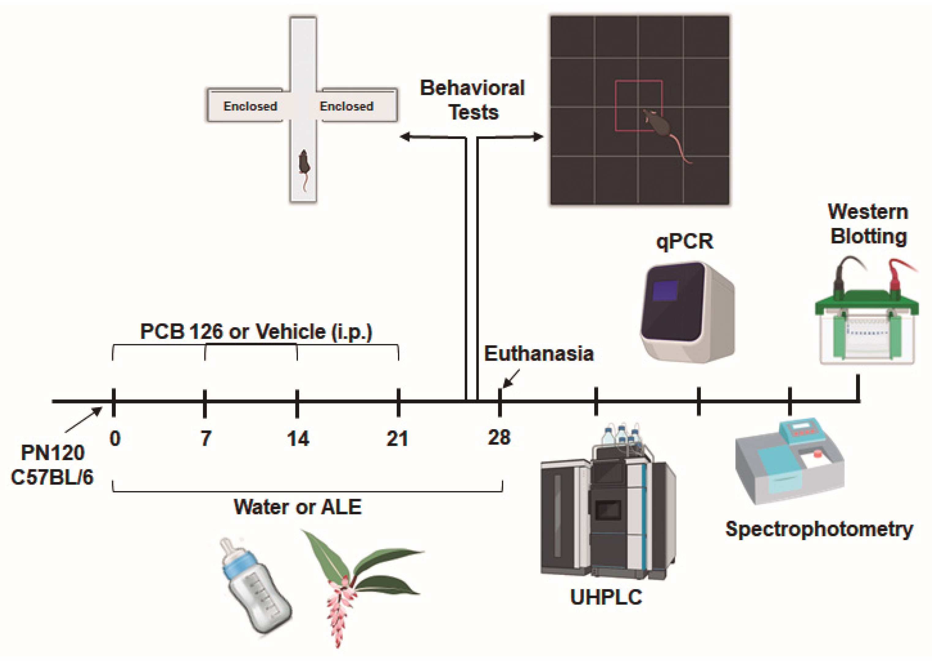 Scipharm 93 00023 g001 Scipharm 93 00023 g001