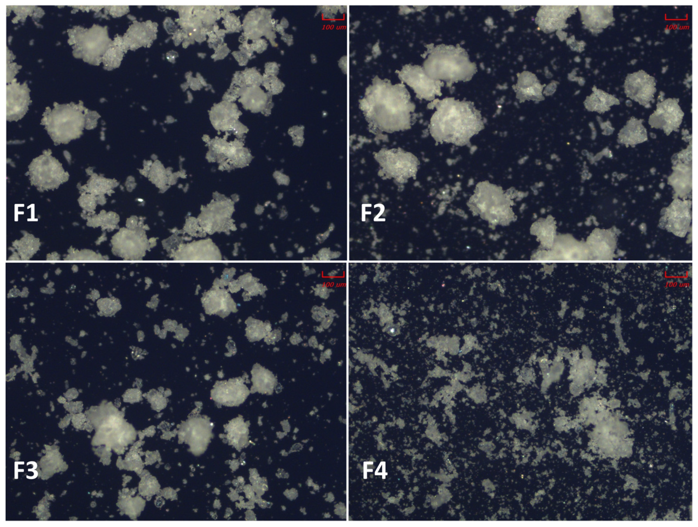 Scipharm 93 00024 g002