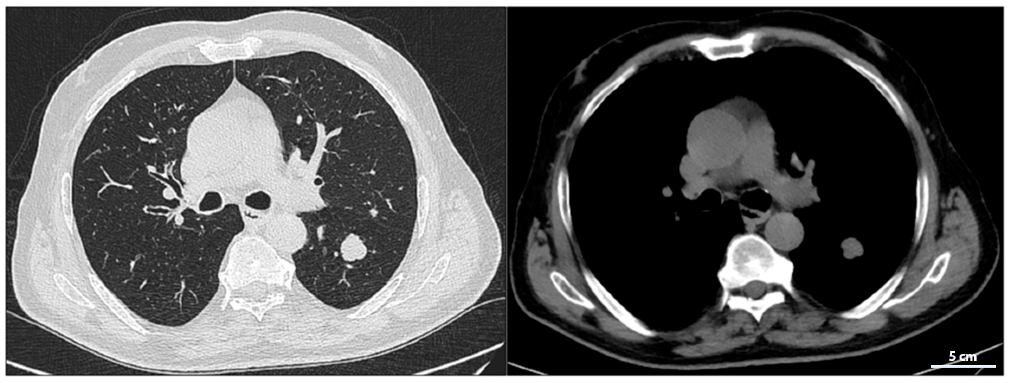 Scipharm 93 00029 g002