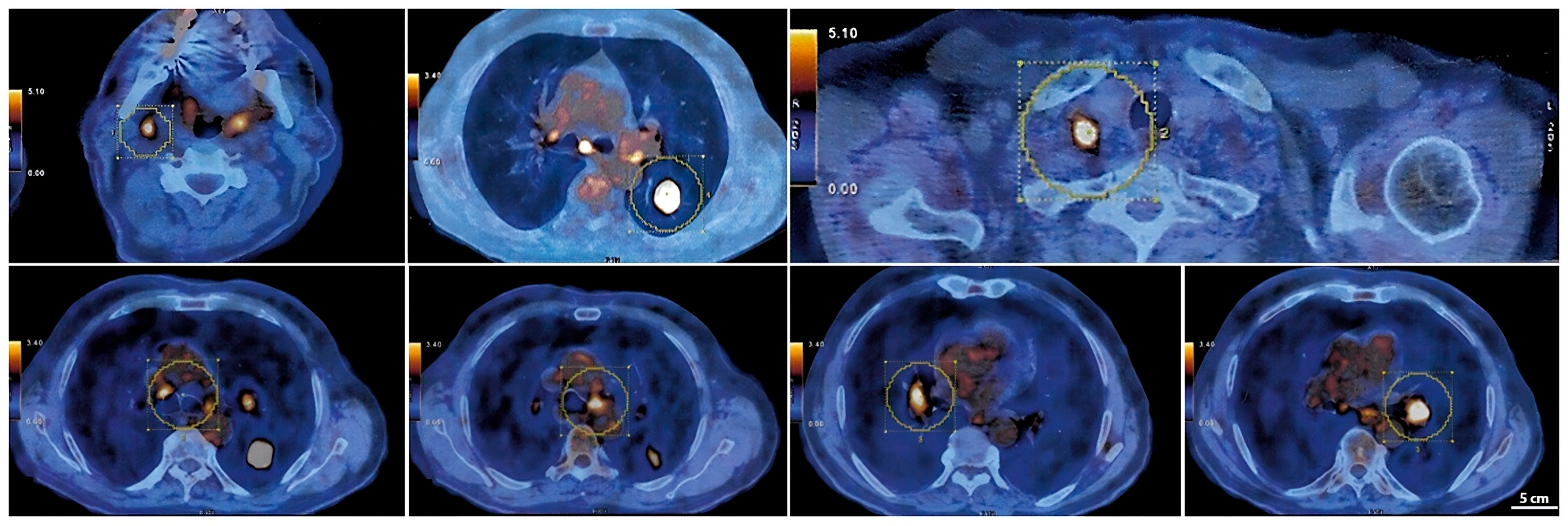 Scipharm 93 00029 g003