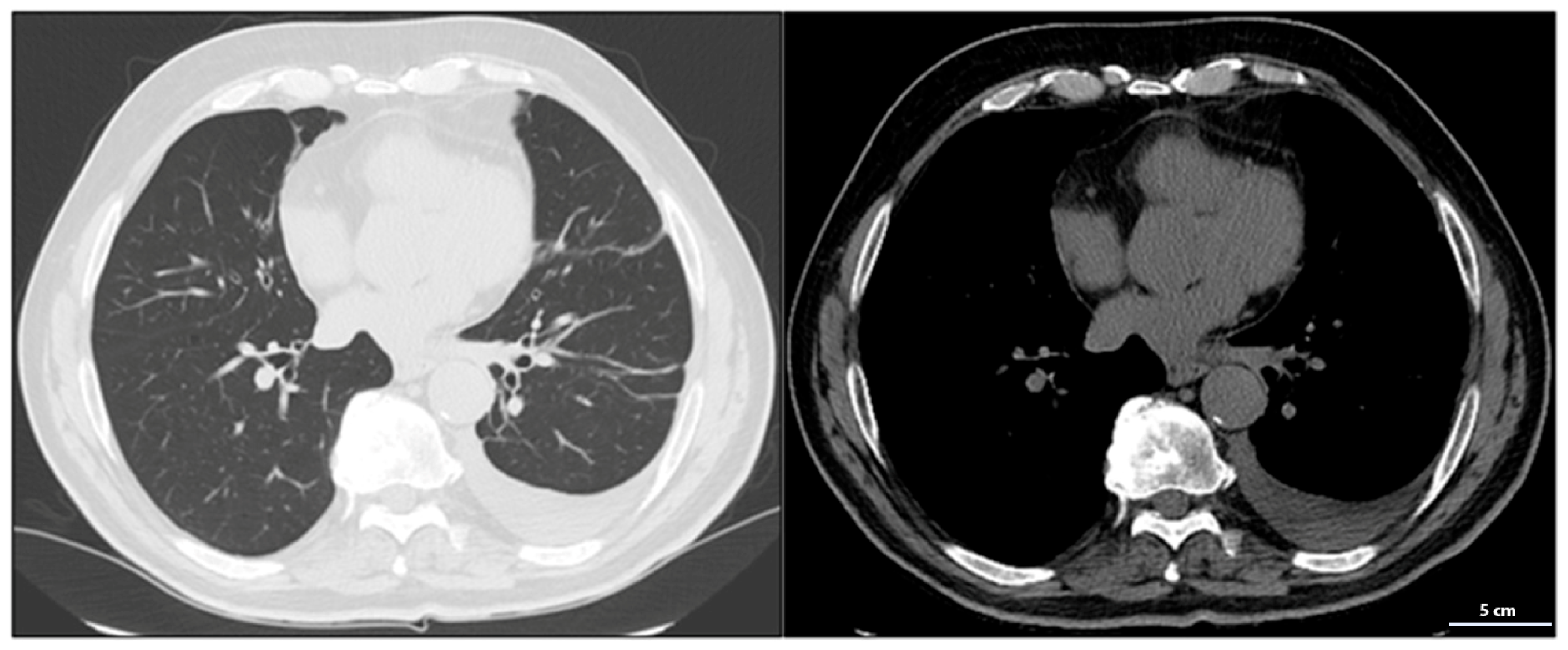 Scipharm 93 00029 g004