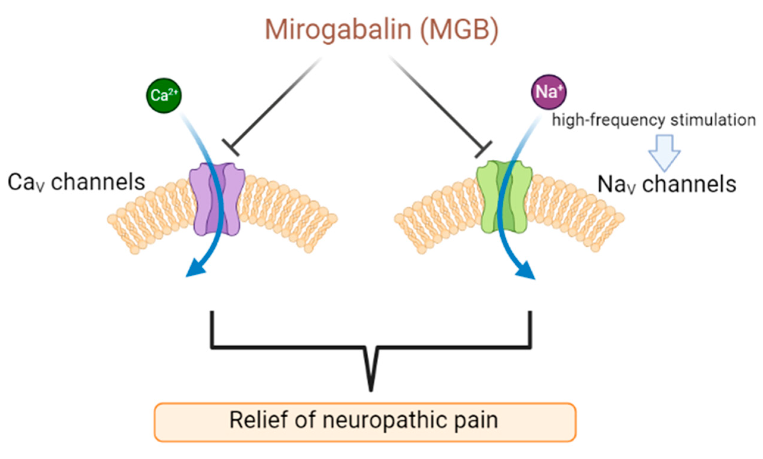 Scipharm 93 00033 g002