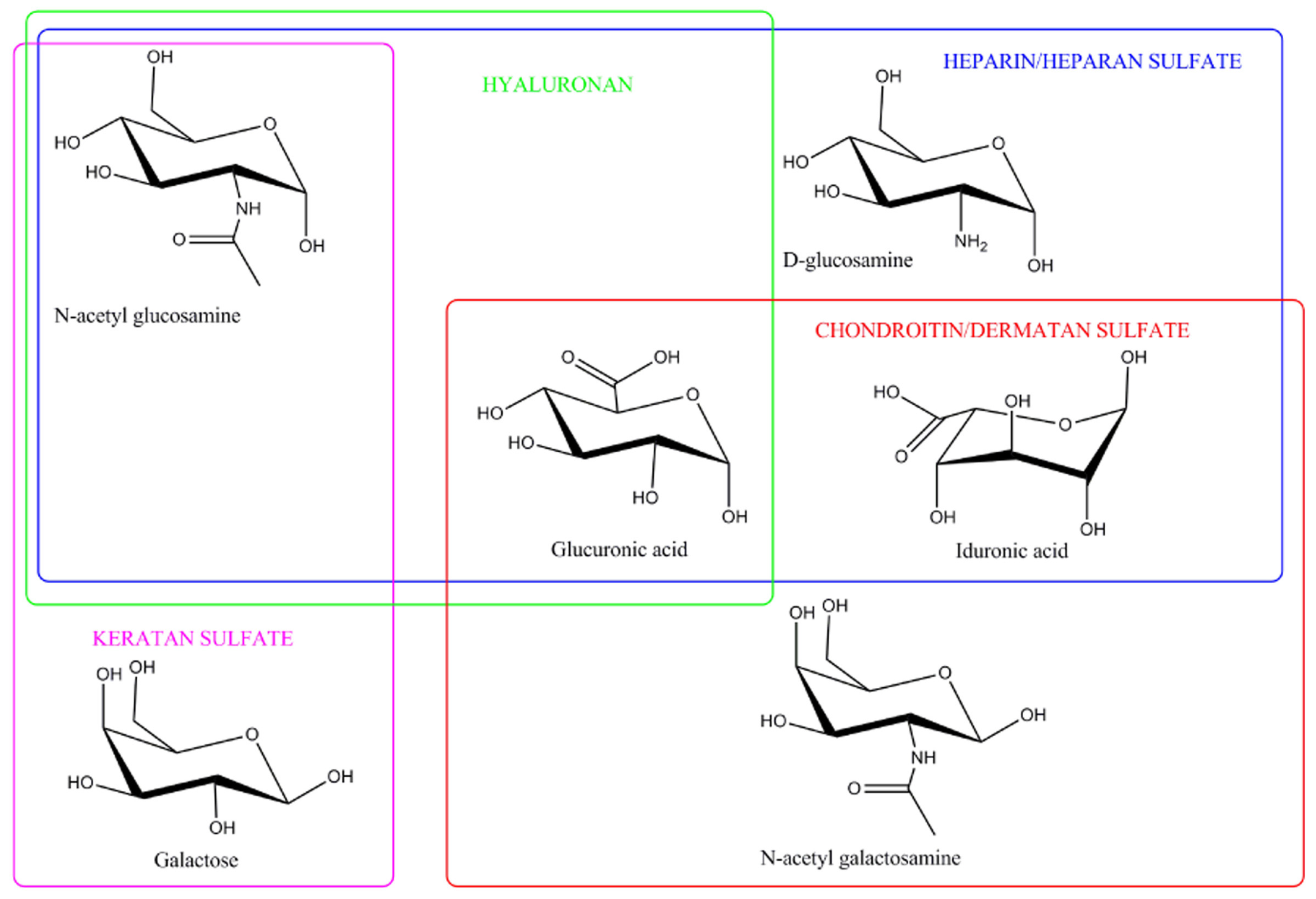 Scipharm 93 00047 g002