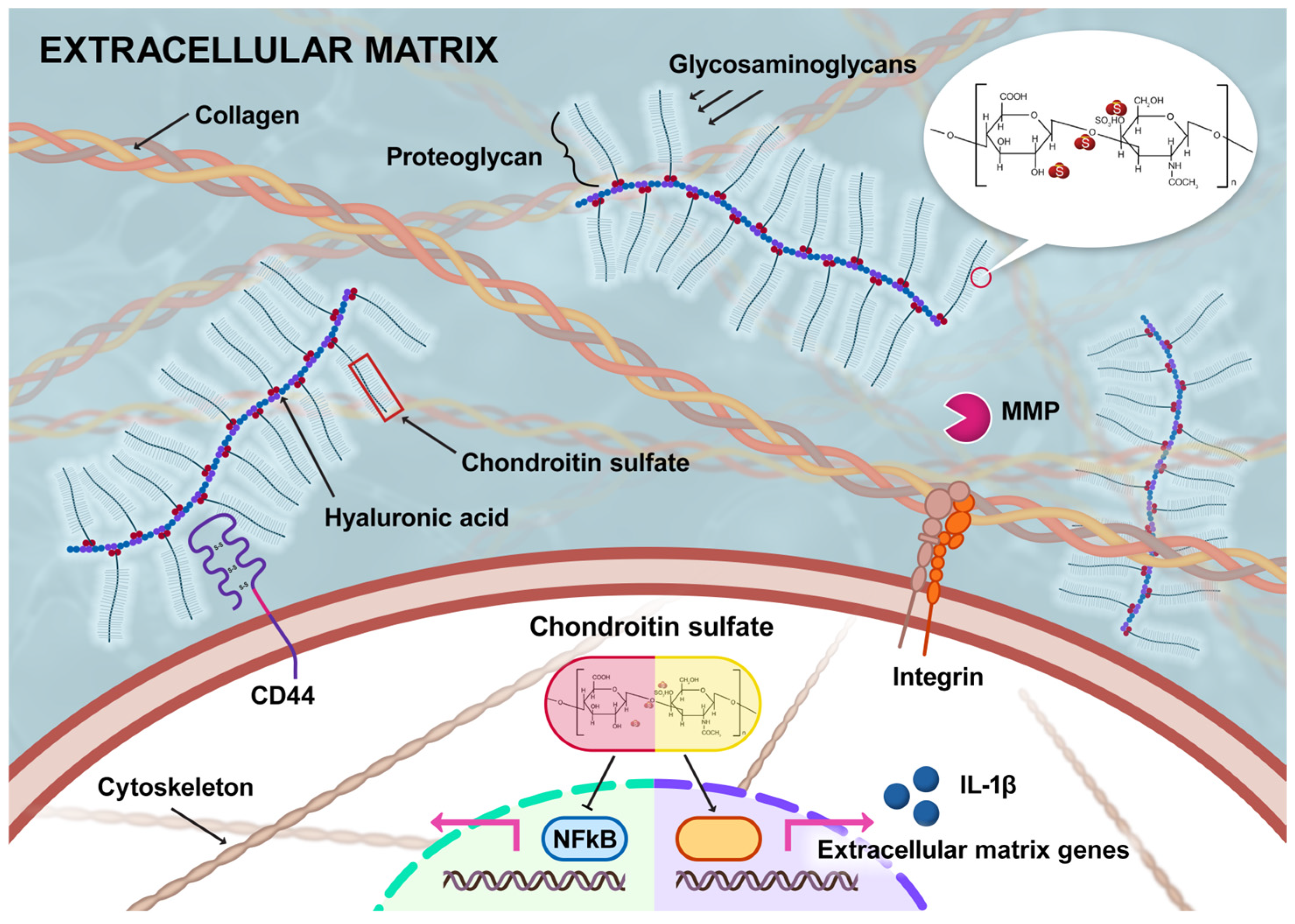 Scipharm 93 00047 g003