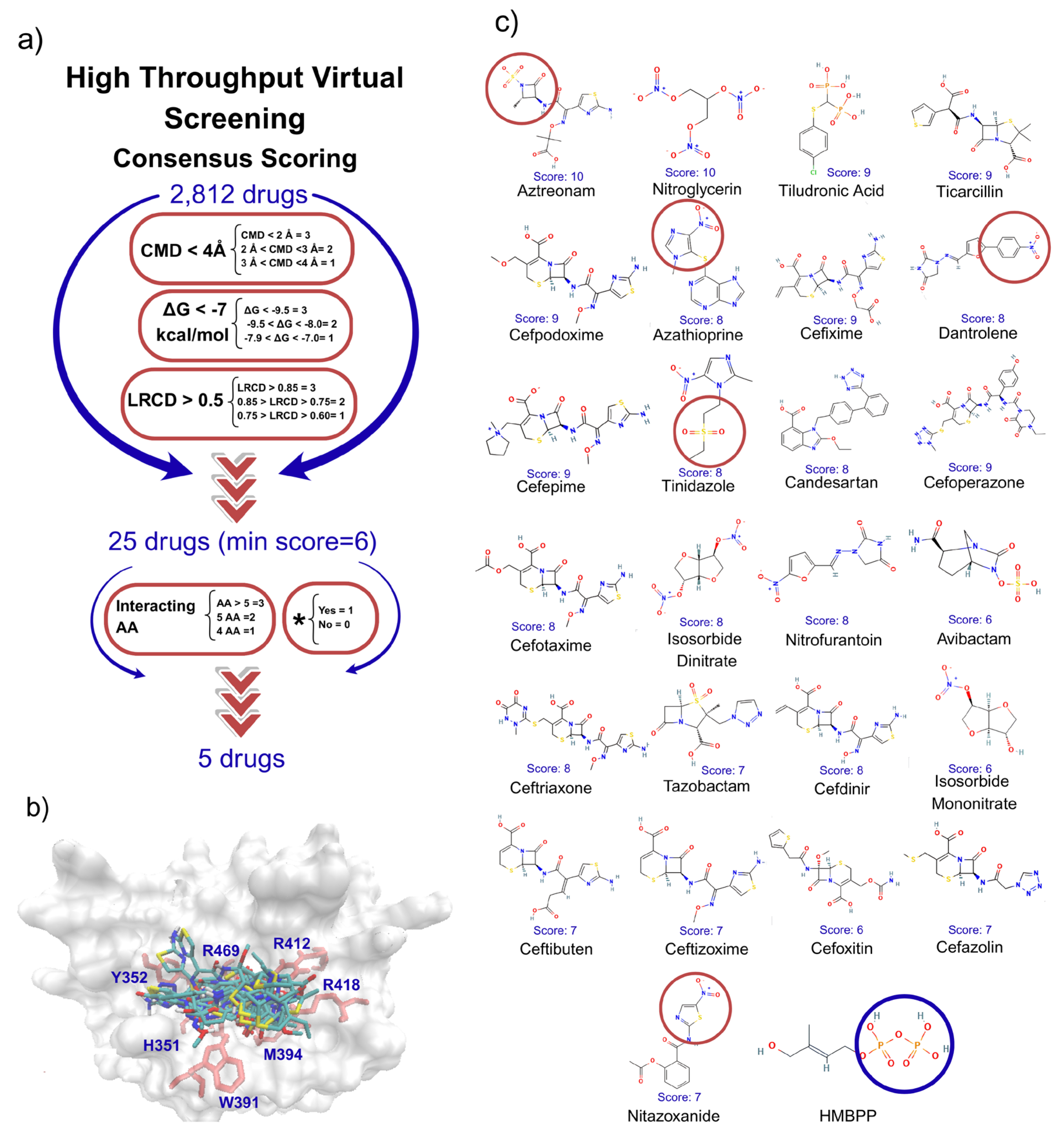 Scipharm 93 00053 g001 Scipharm 93 00053 g001