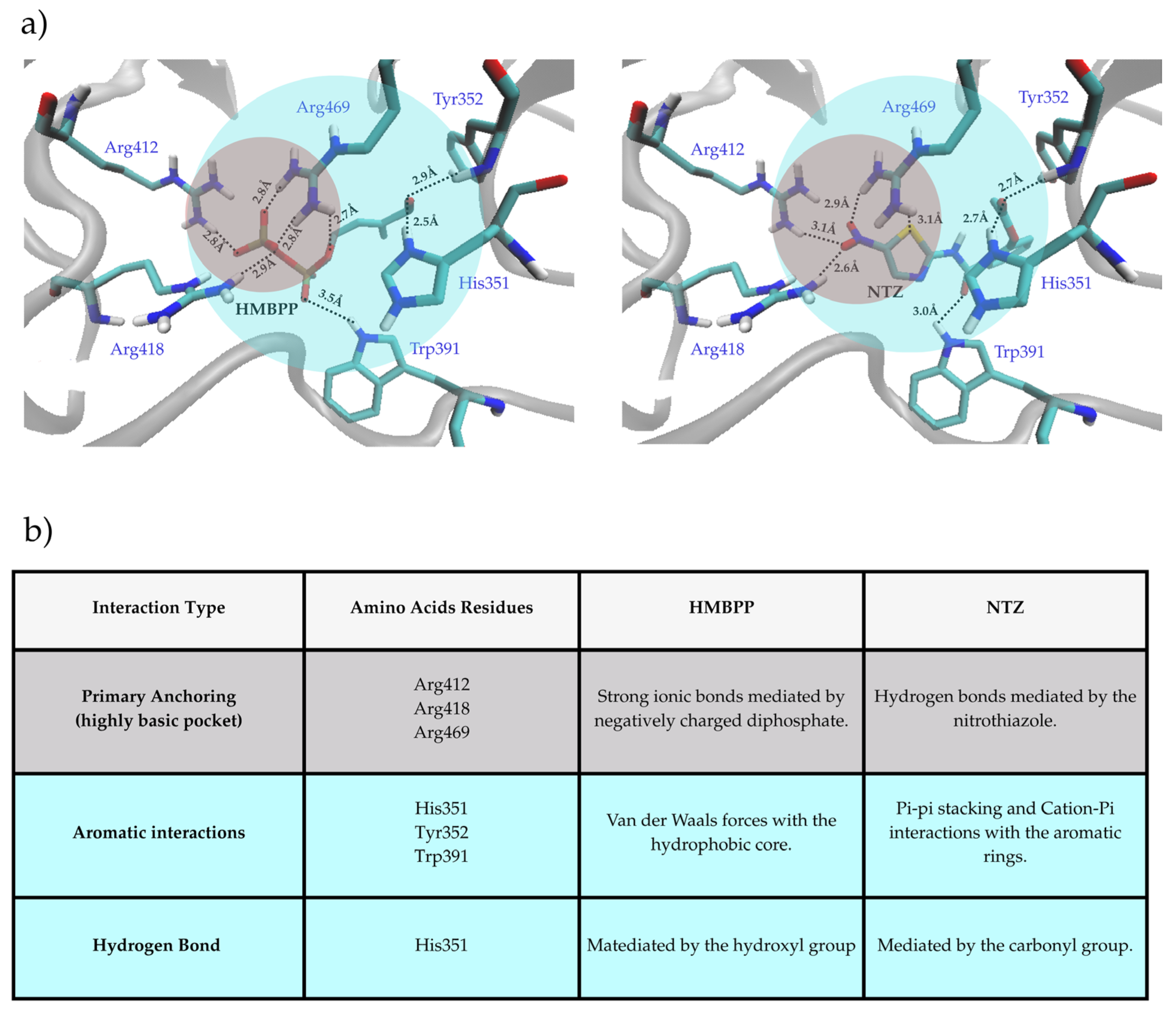 Scipharm 93 00053 g005 Scipharm 93 00053 g005