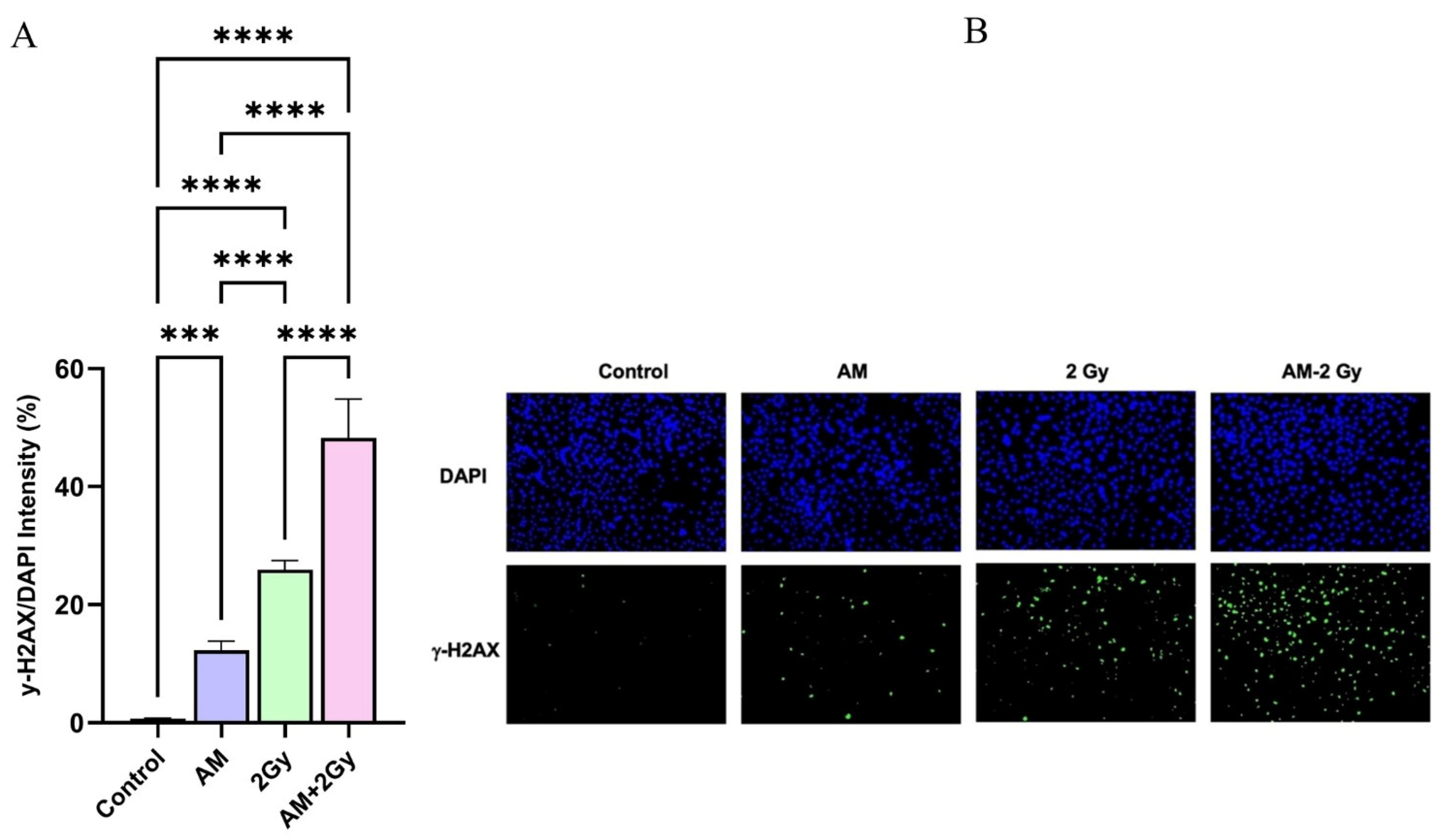 Scipharm 93 00054 g002