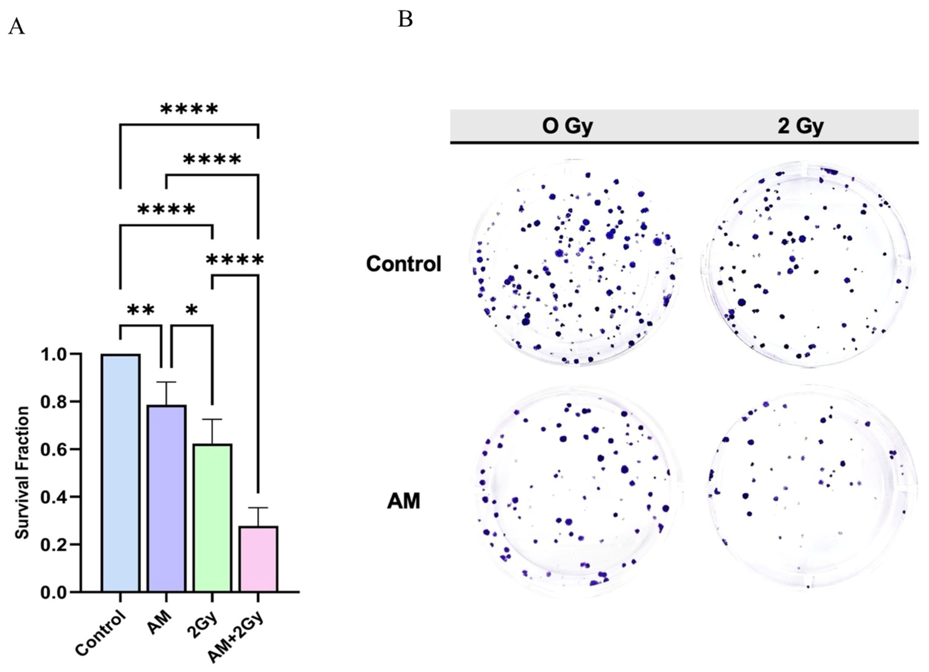 Scipharm 93 00054 g005