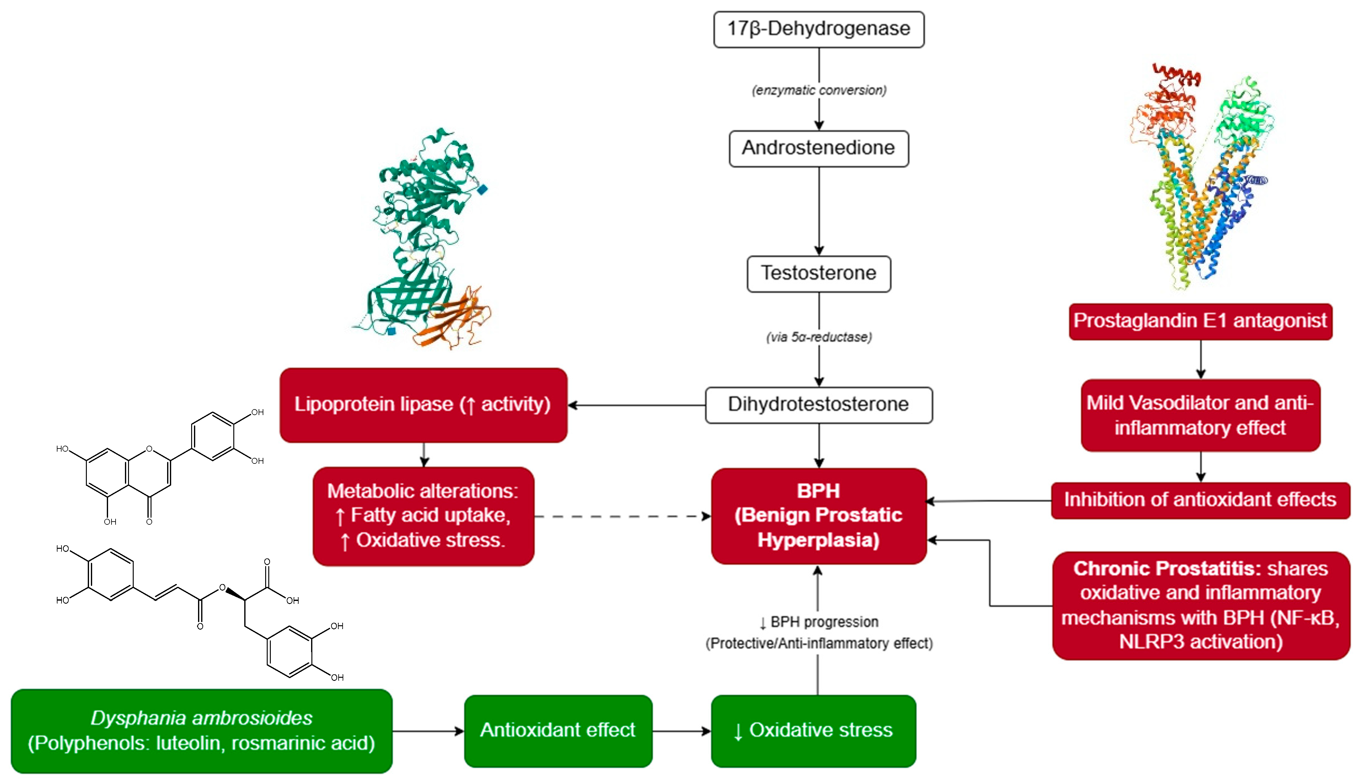 Scipharm 93 00057 g001 Scipharm 93 00057 g001