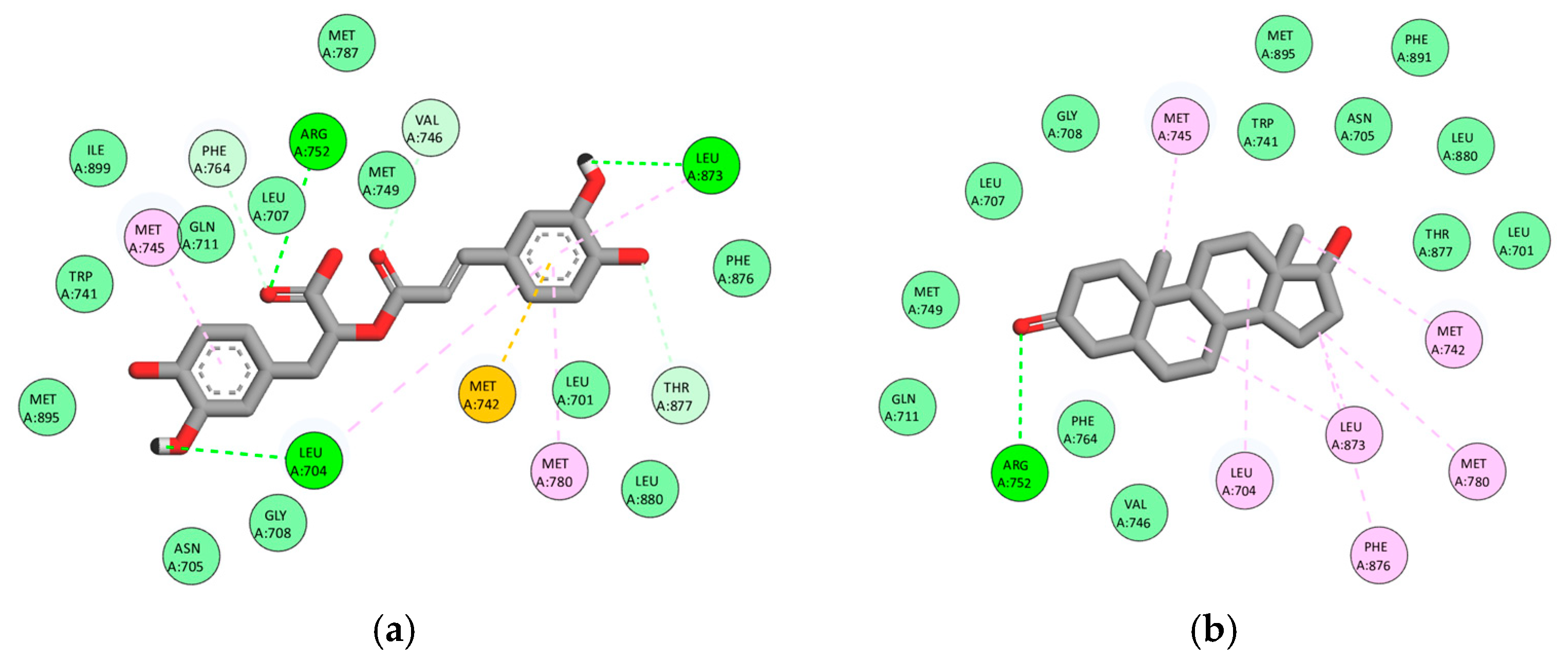 Scipharm 93 00057 g004 Scipharm 93 00057 g004