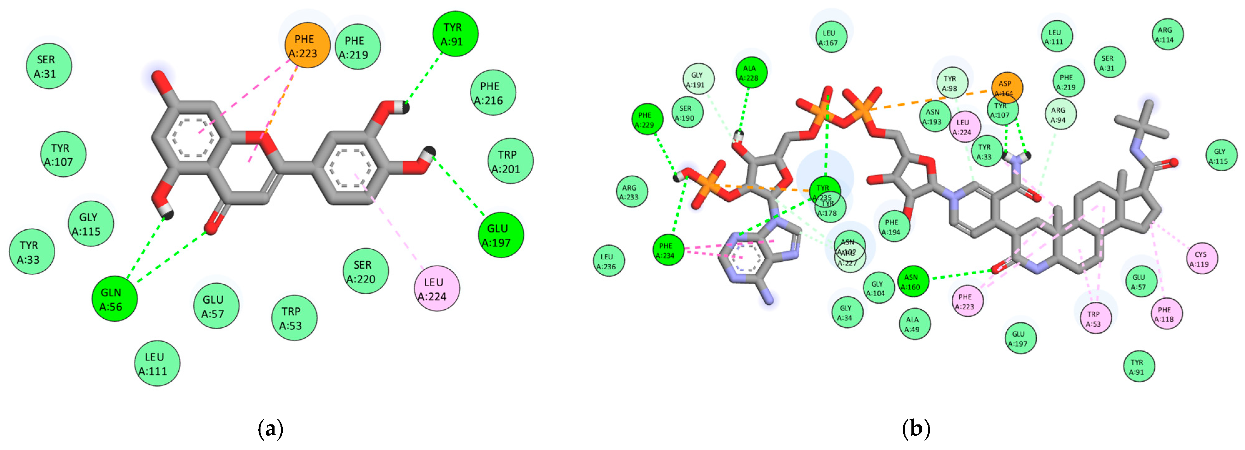 Scipharm 93 00057 g005 Scipharm 93 00057 g005