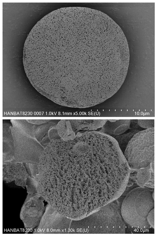 SEM Image of PDLLA in Juvelook.