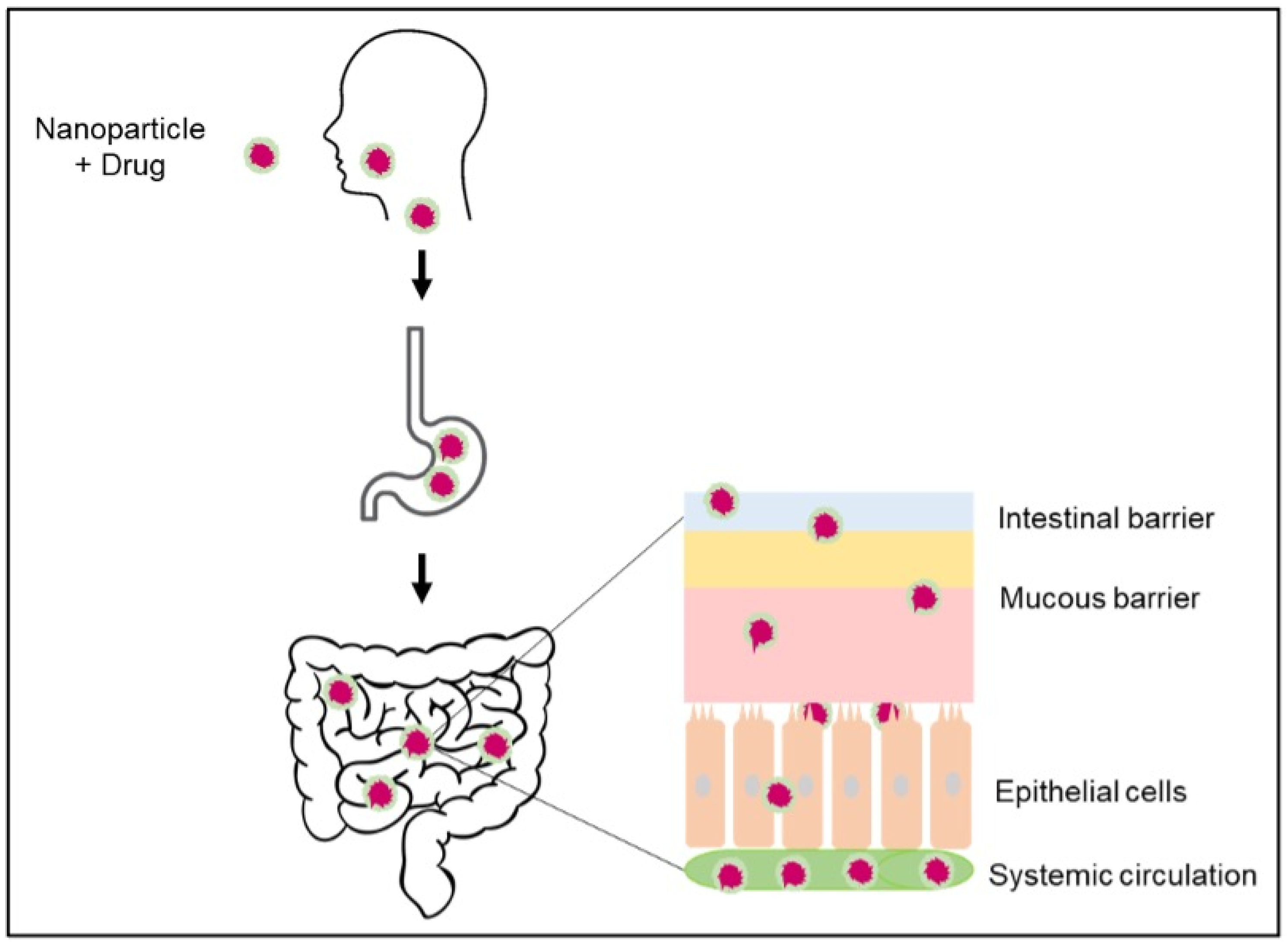 Scipharm 94 00003 g007