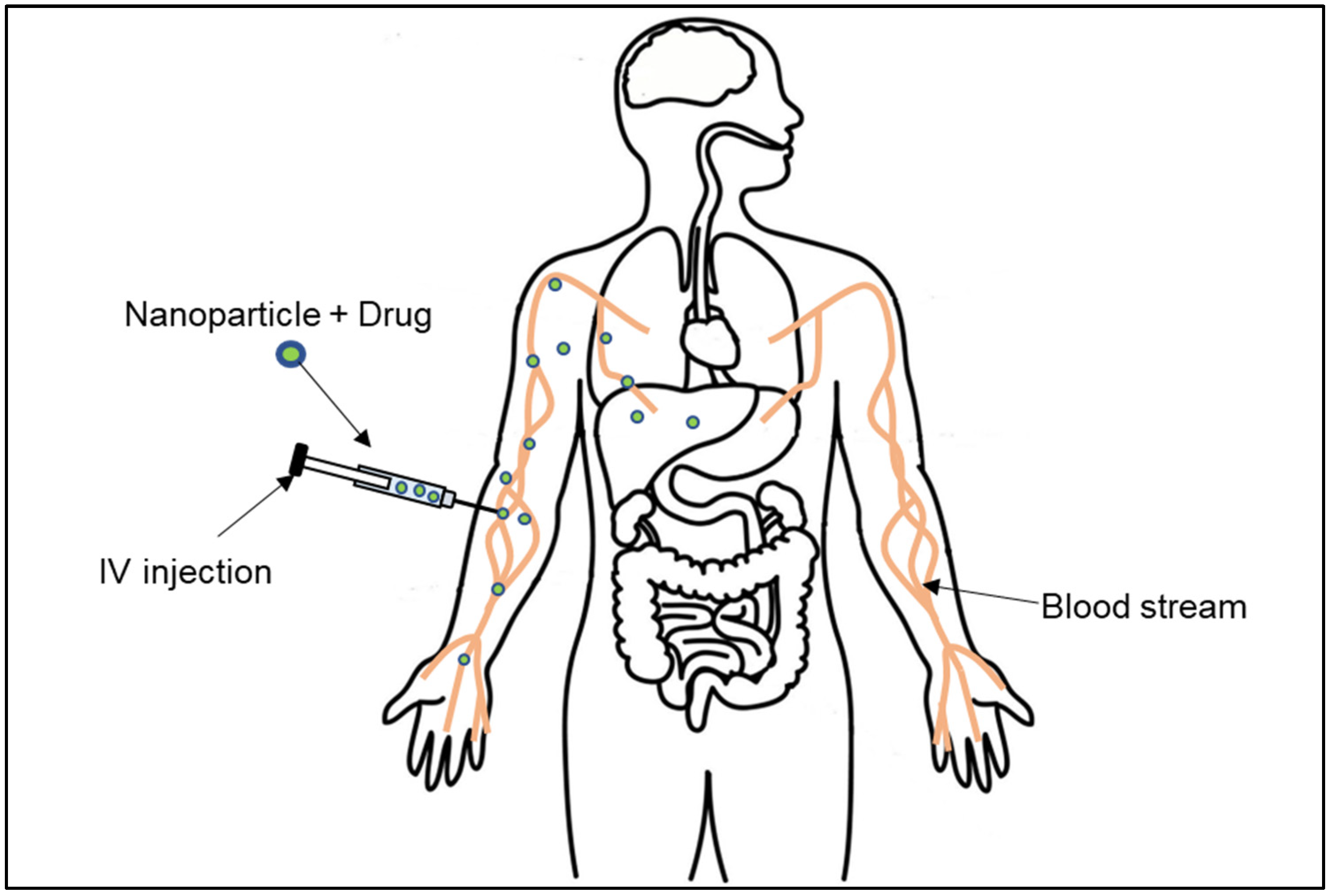 Scipharm 94 00003 g009