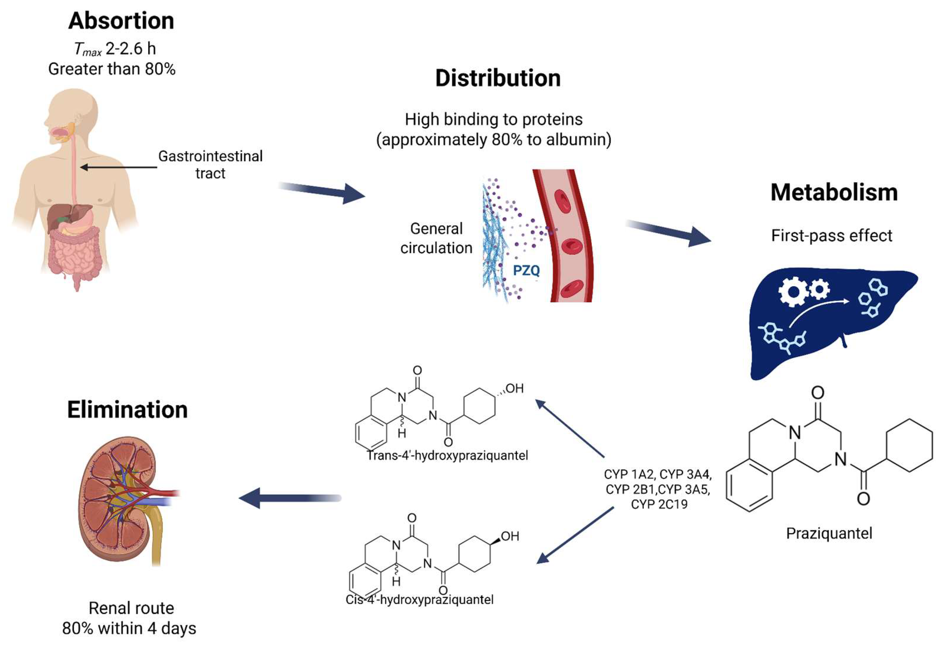 Scipharm 94 00004 g002