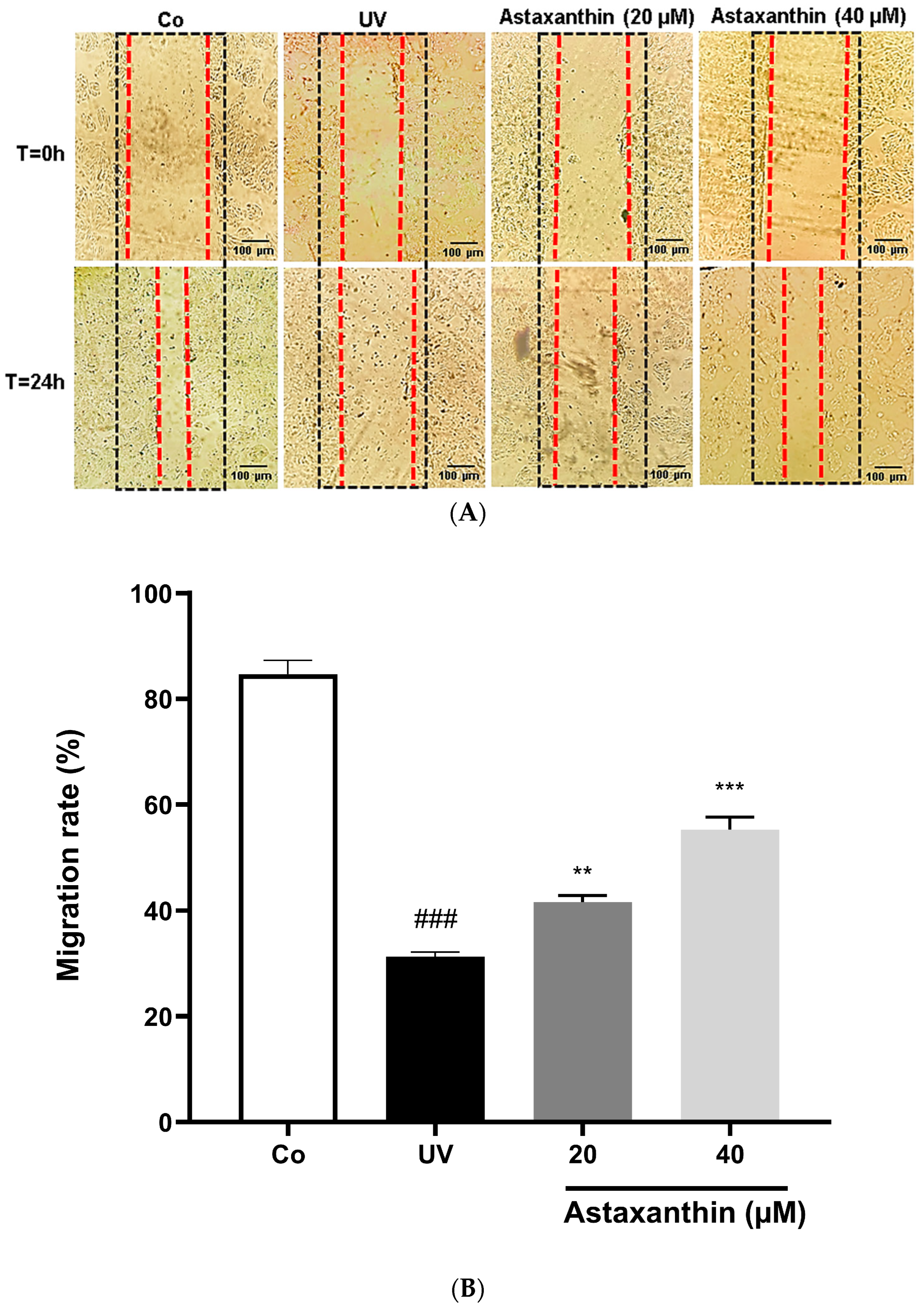 Scipharm 94 00008 g003