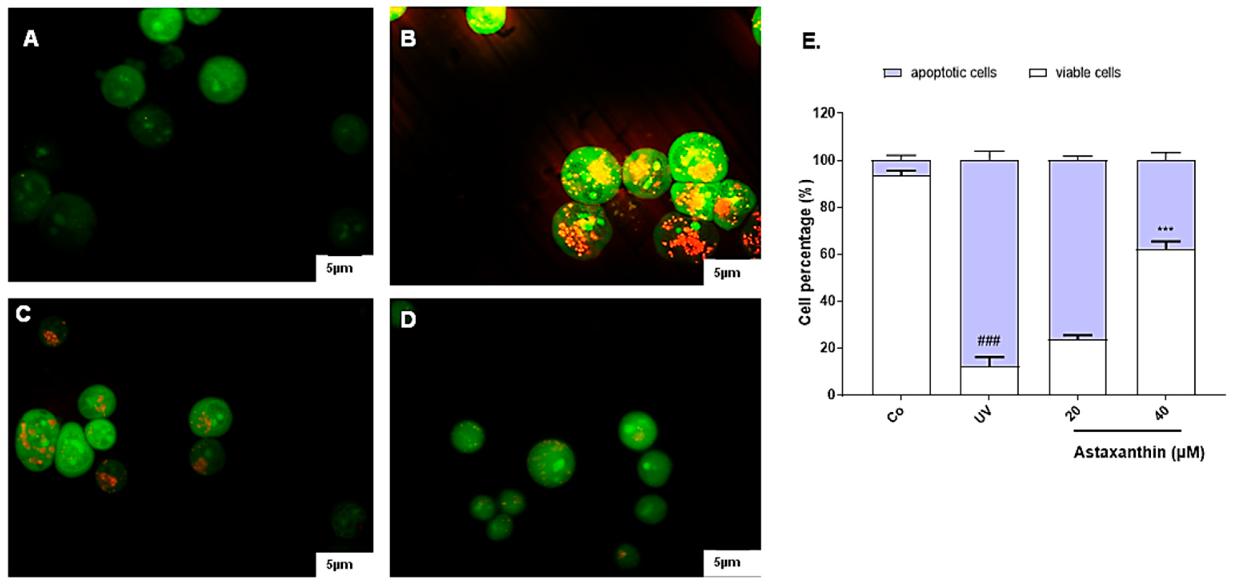 Scipharm 94 00008 g005