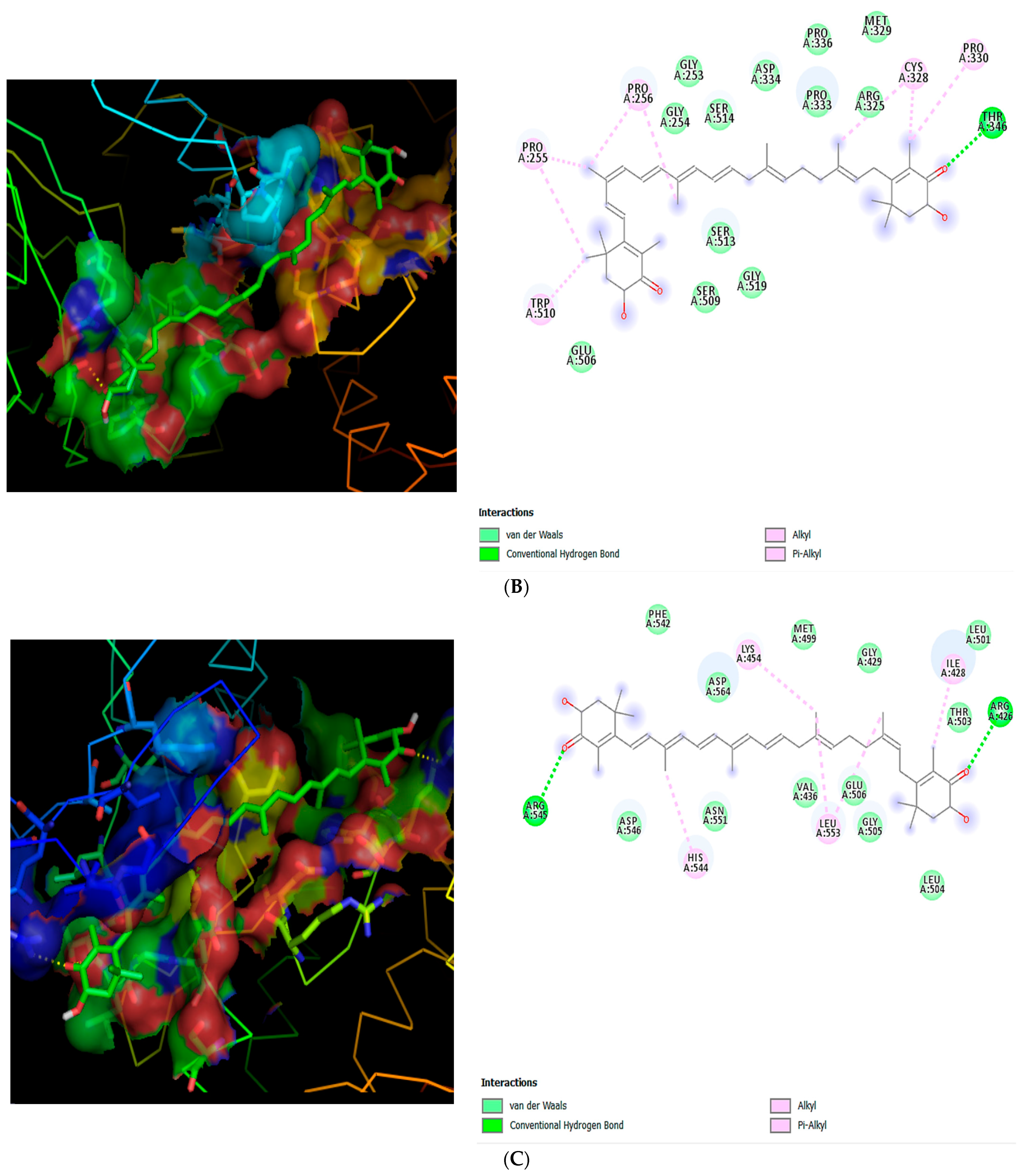 Scipharm 94 00008 g007b