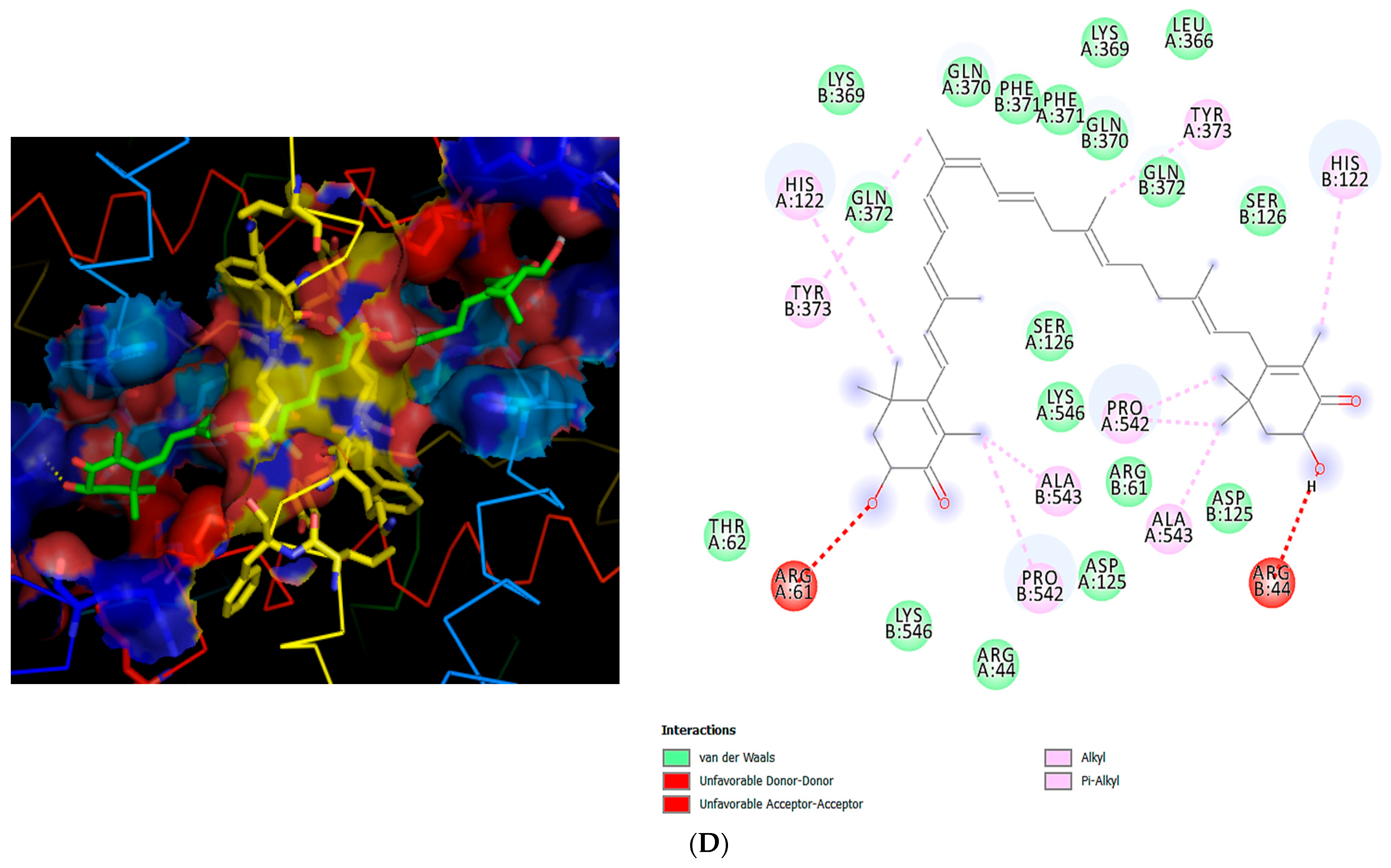 Scipharm 94 00008 g007c