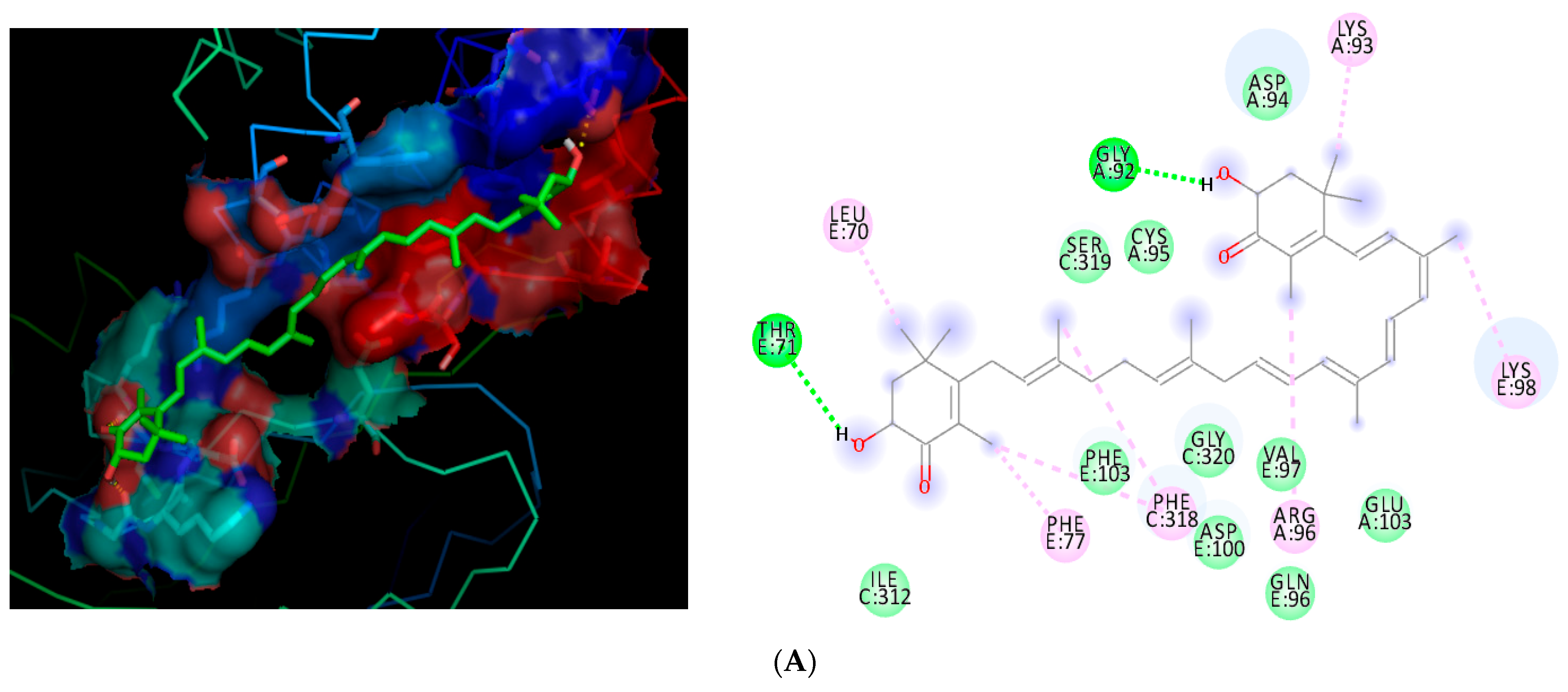 Scipharm 94 00008 g008a