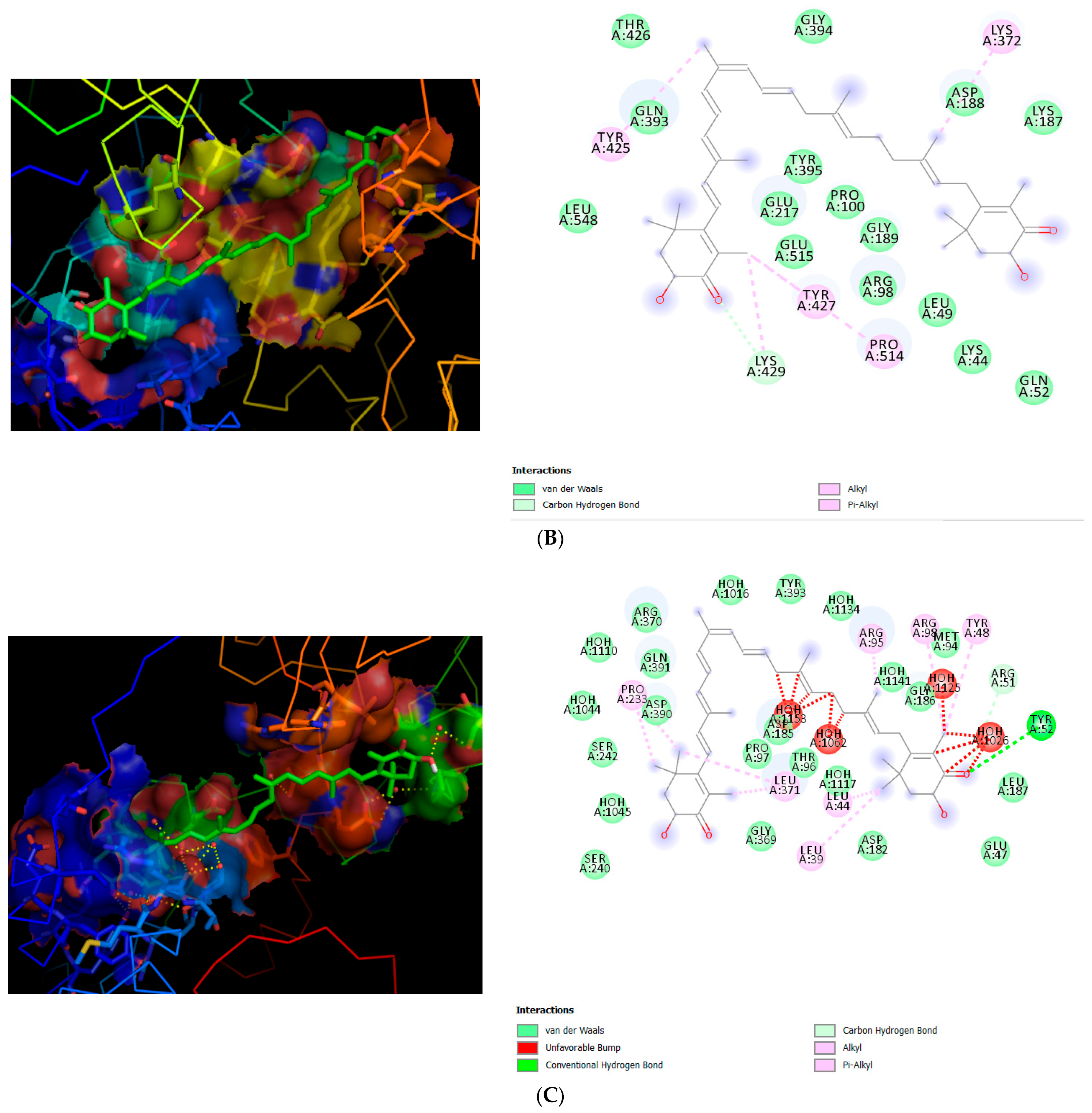 Scipharm 94 00008 g008b