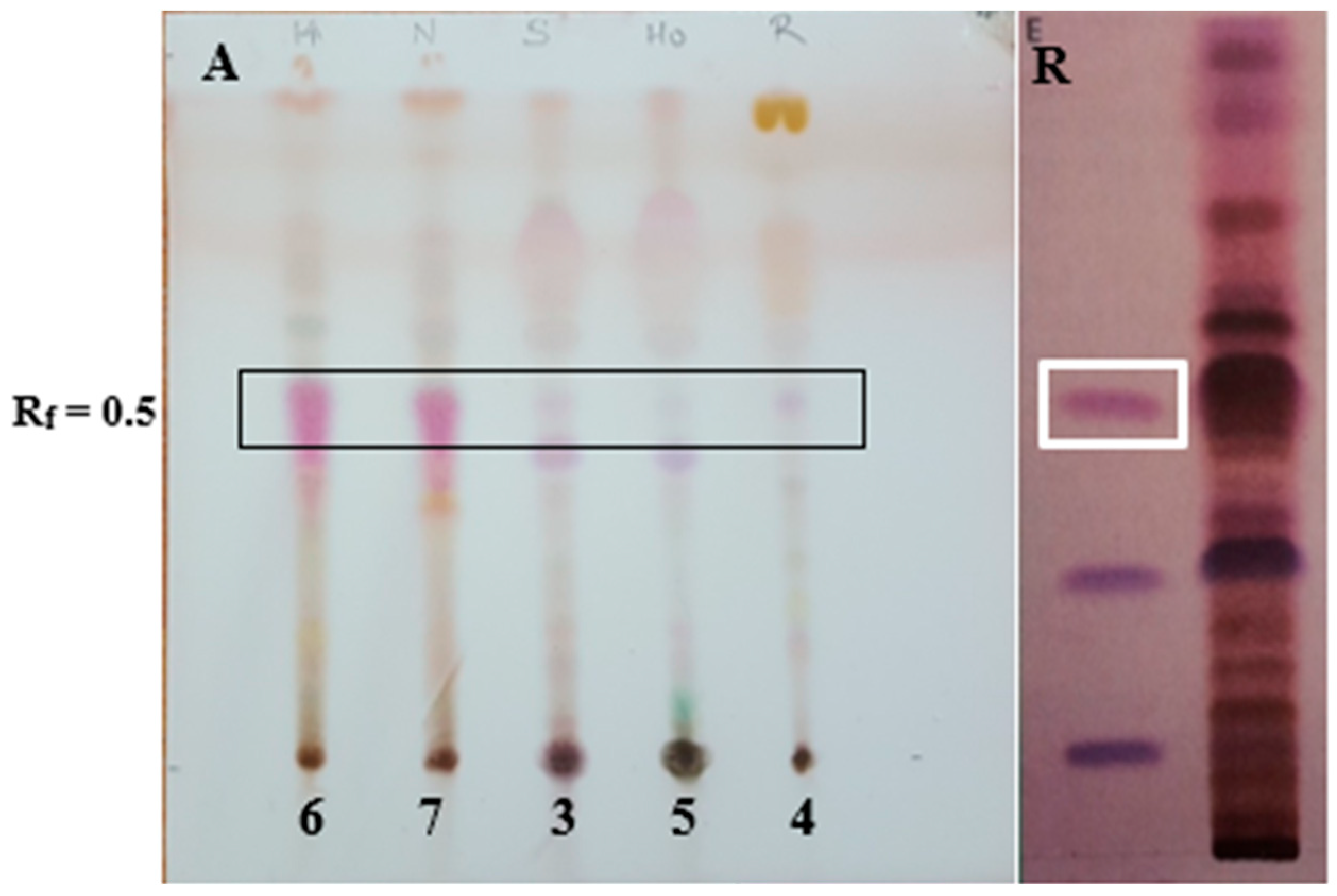 Scipharm 94 00010 g010 Scipharm 94 00010 g010