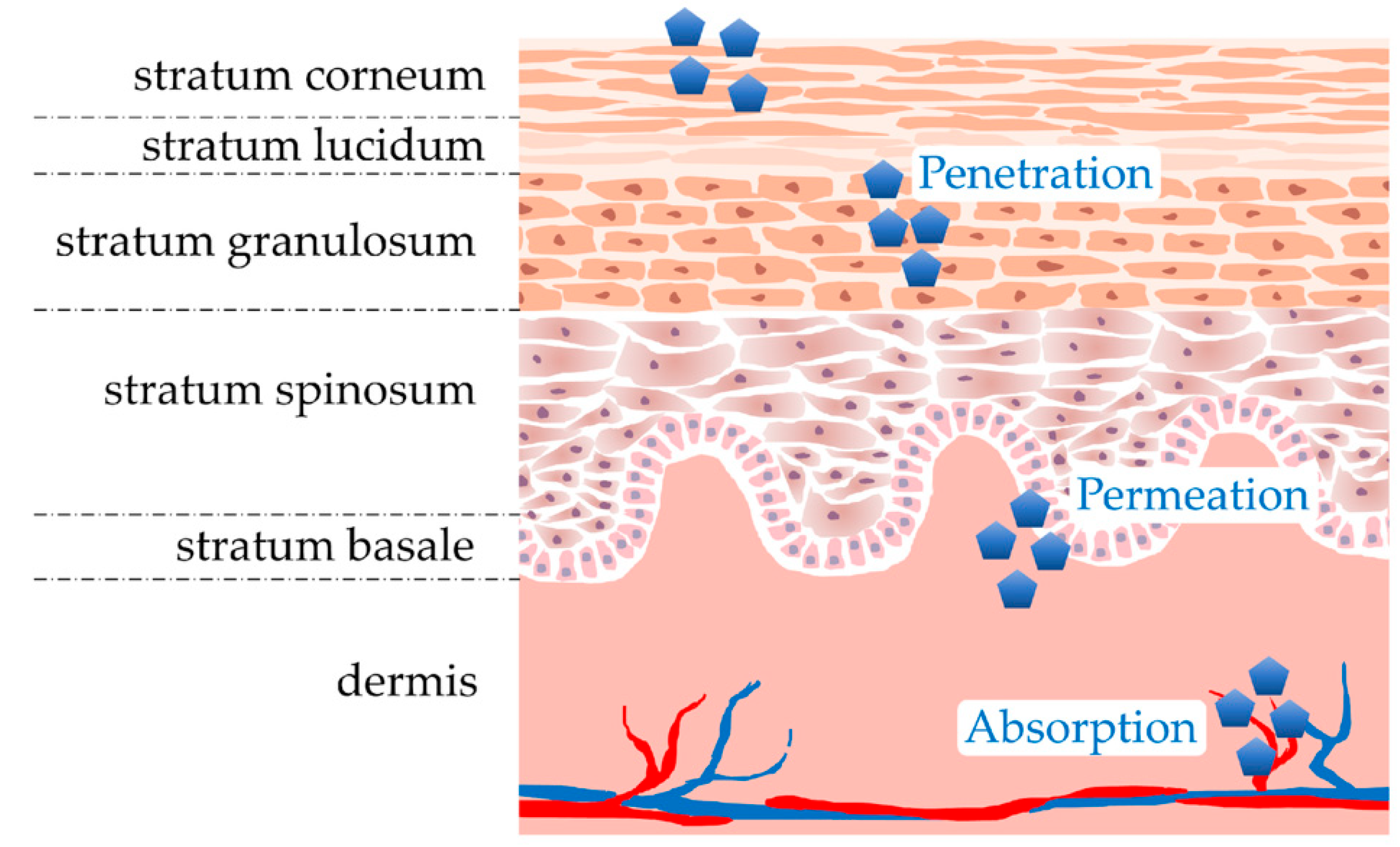 Scipharm 94 00019 g004