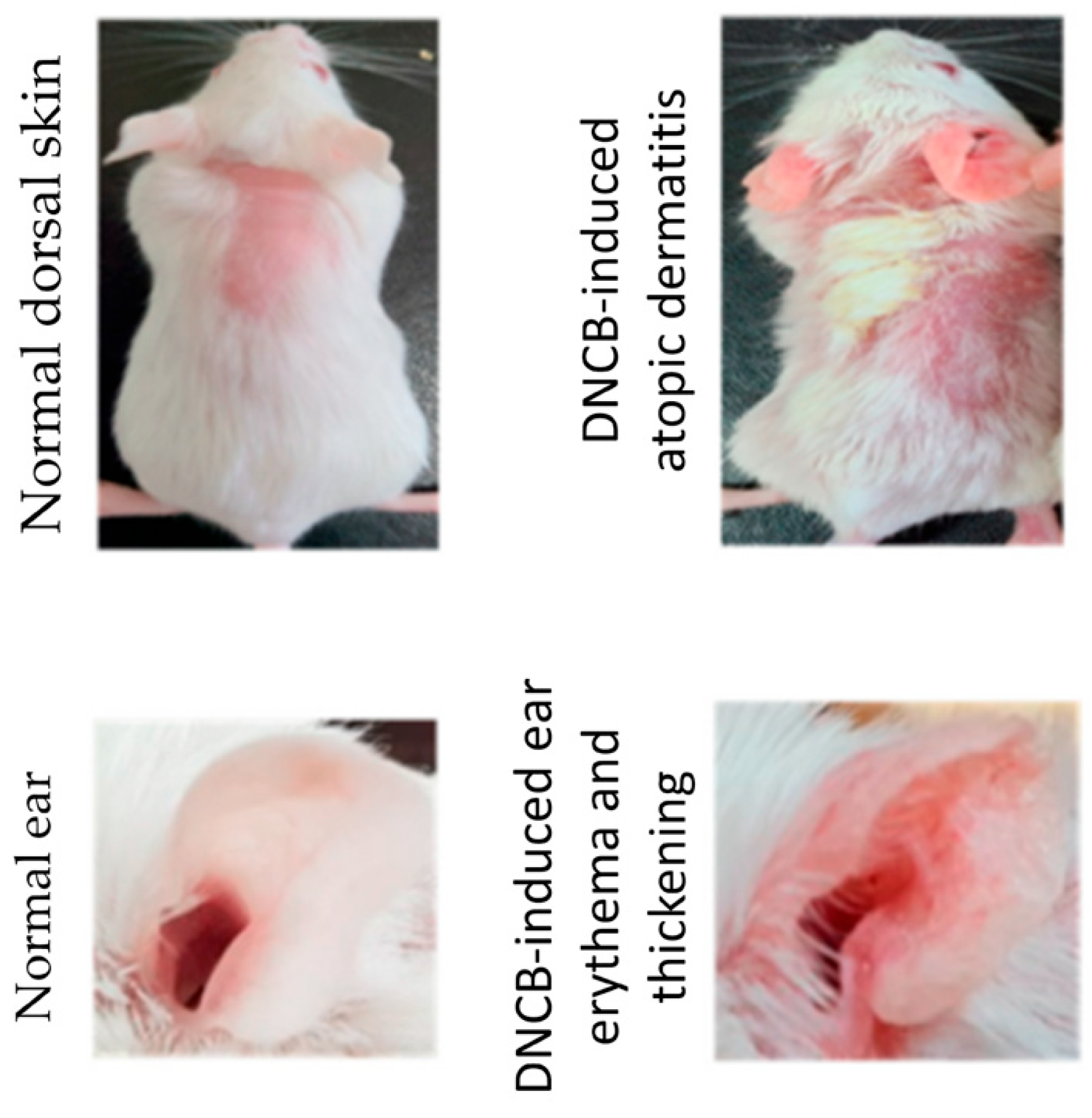 Scipharm 94 00019 g005