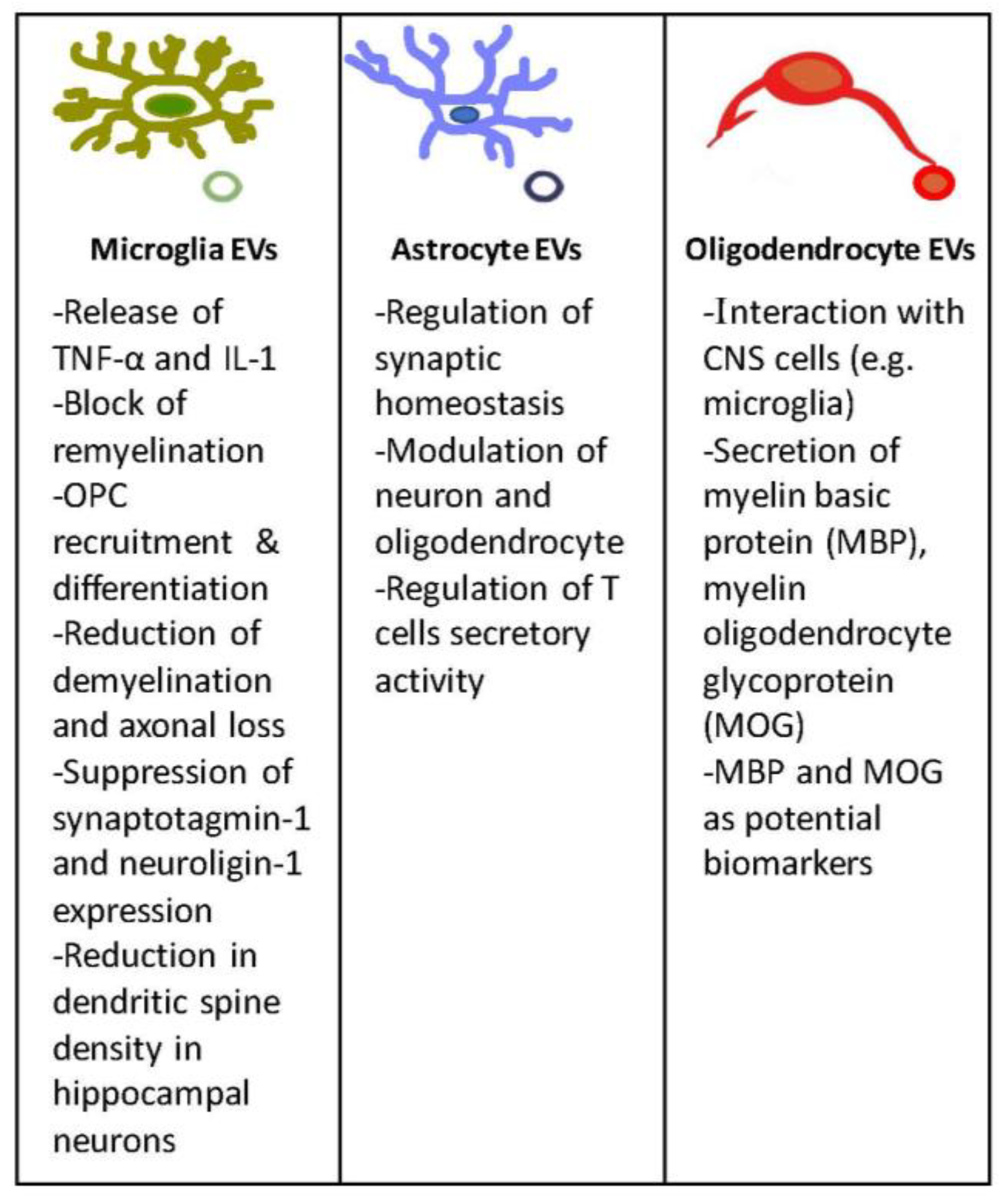 Sclerosis 01 00011 g002