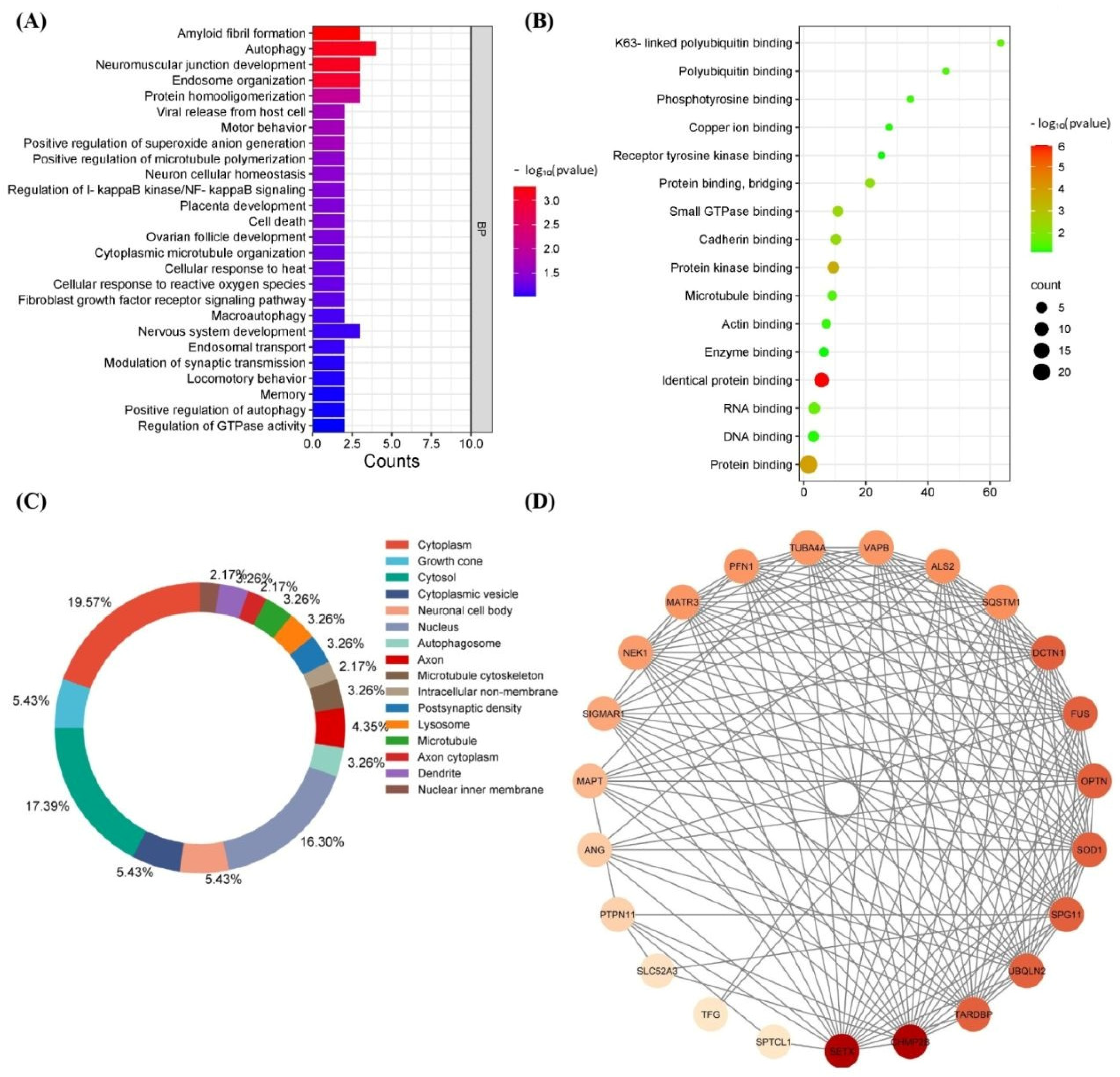 Sclerosis 02 00010 g002