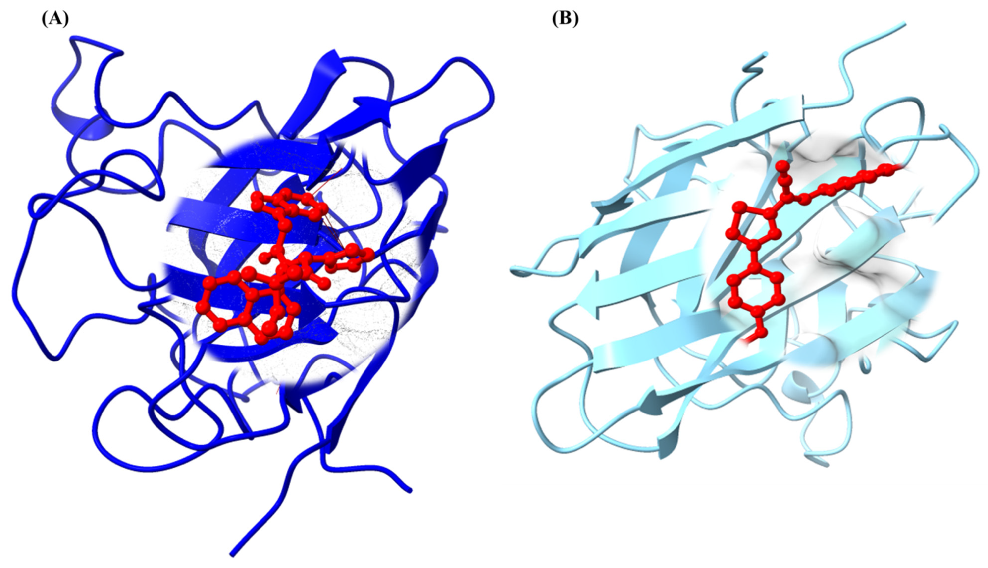Sclerosis 02 00010 g003