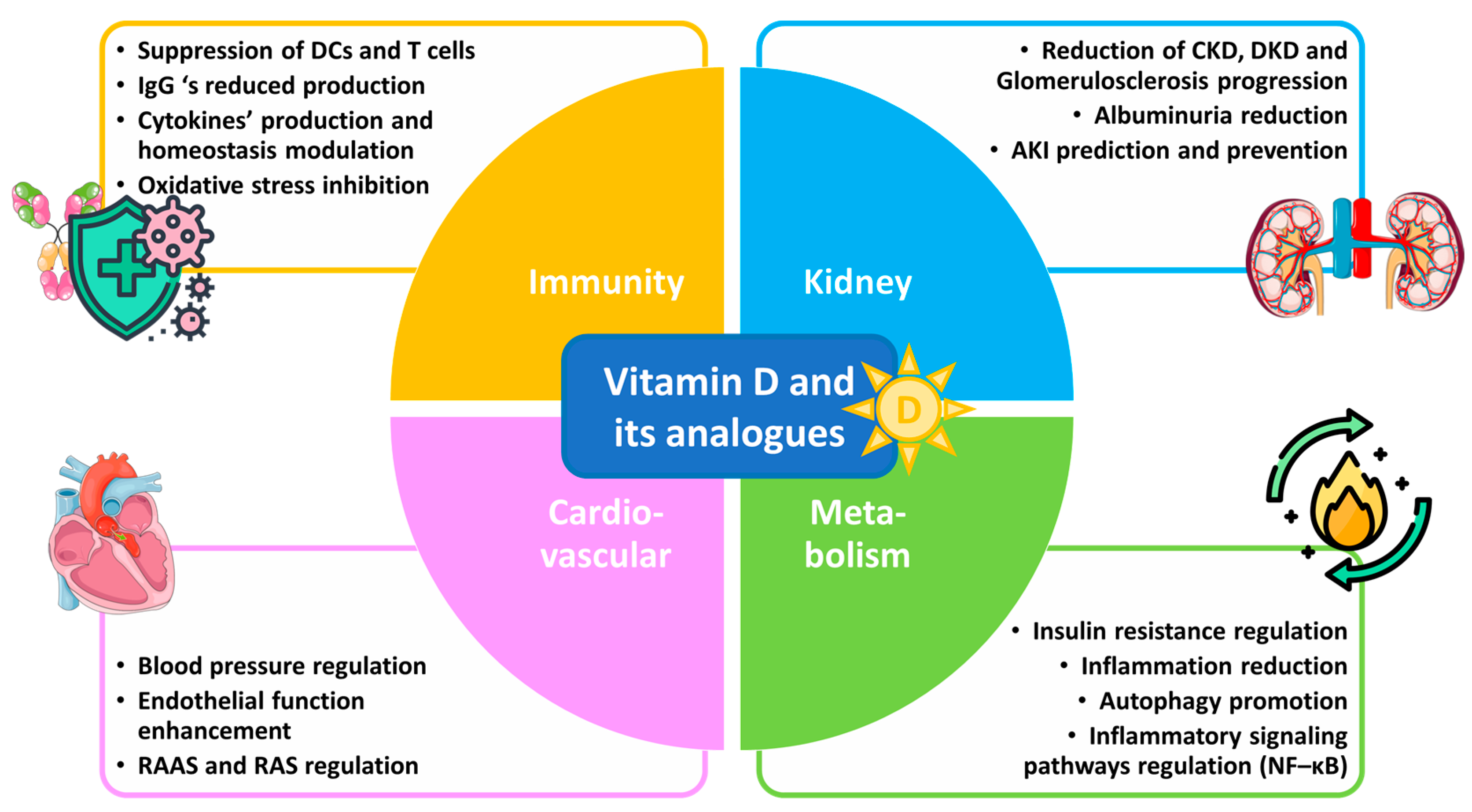 Sclerosis 02 00015 g001