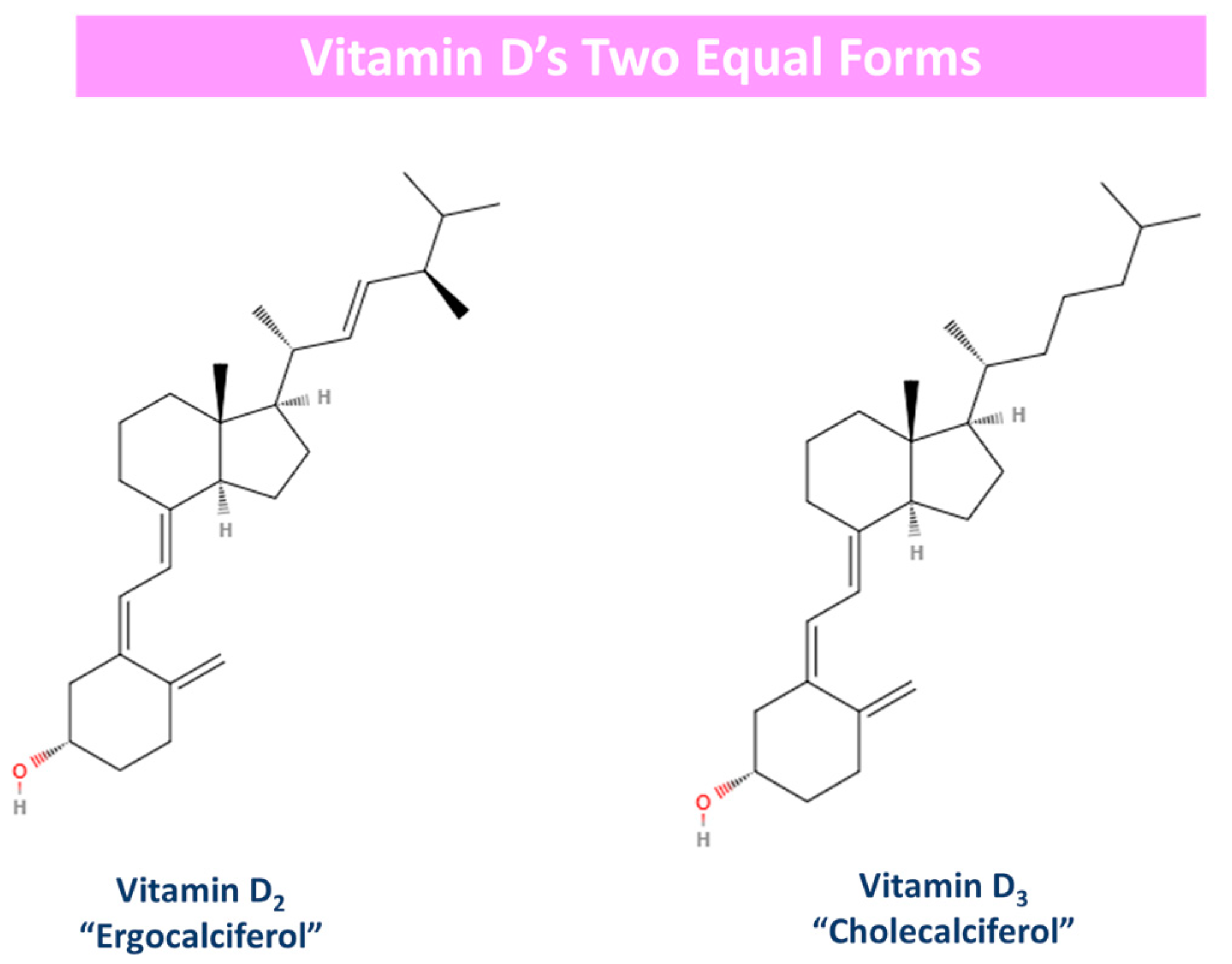 Sclerosis 02 00015 g003