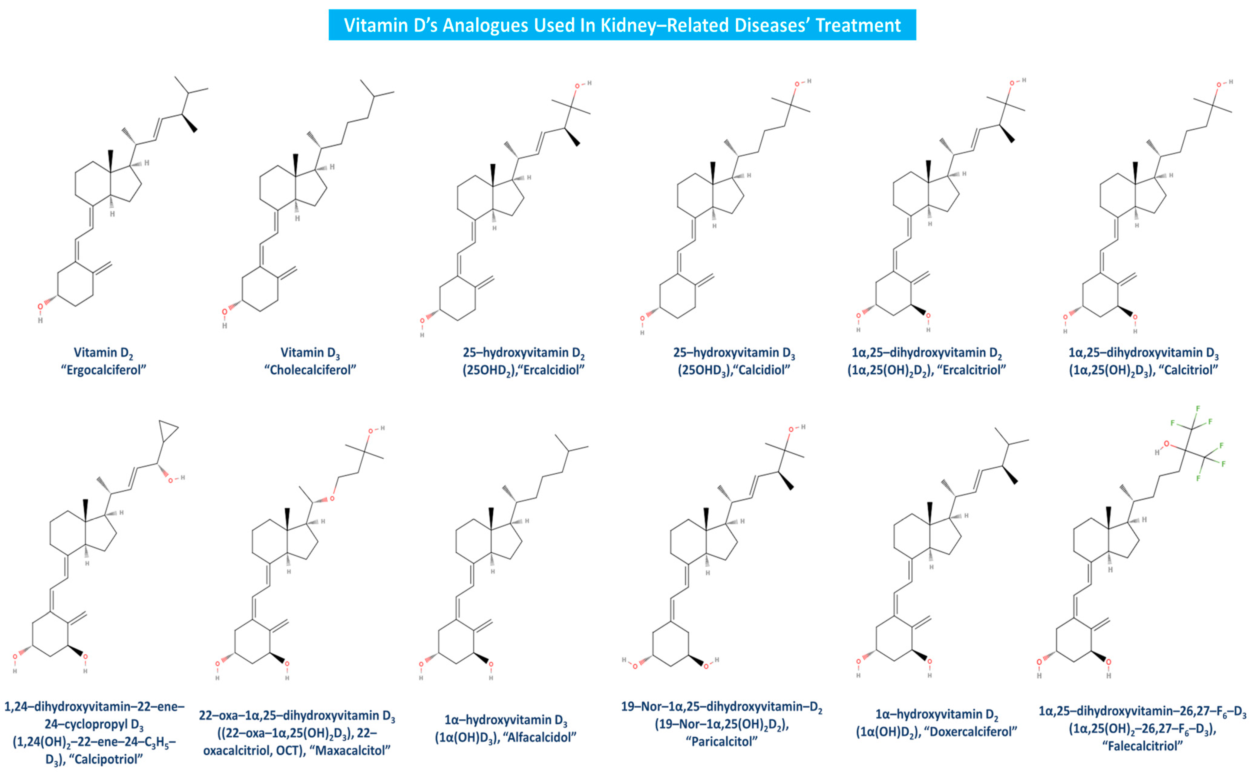Sclerosis 02 00015 g006
