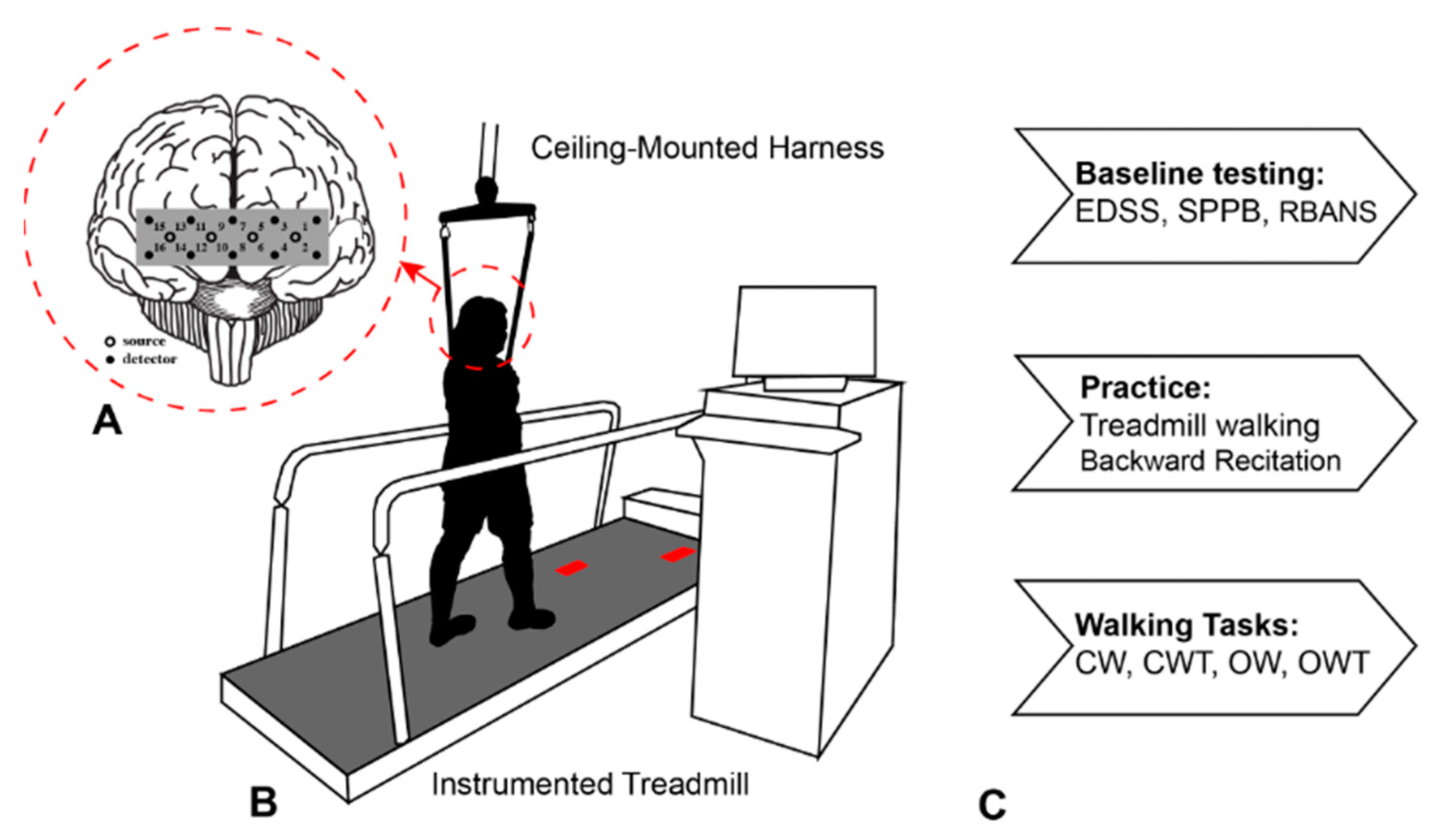 Sclerosis 03 00003 g001