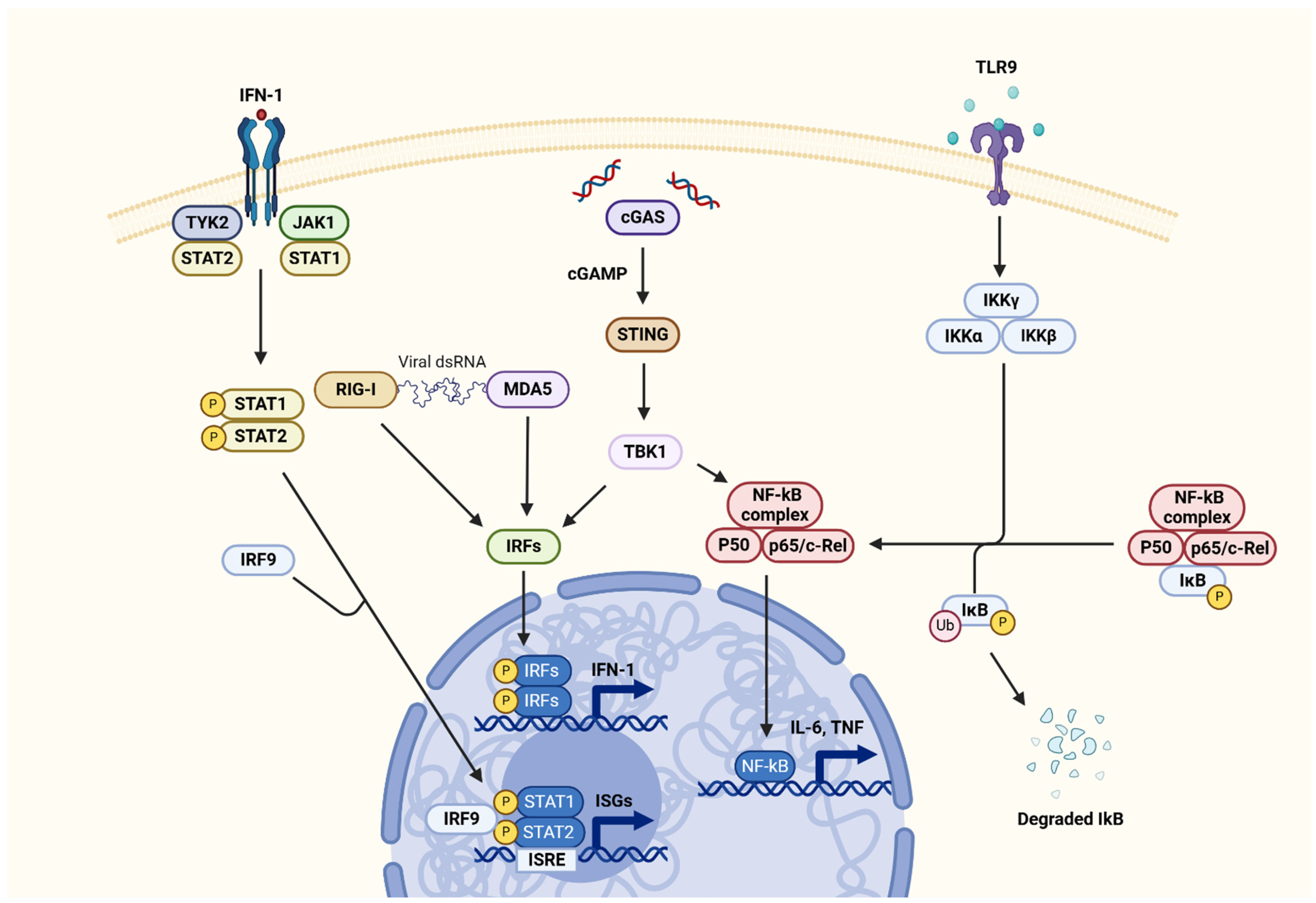 Sclerosis 03 00006 g001